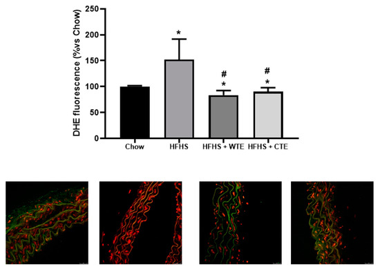 Supplementation with Two New Standardized Tea Extracts