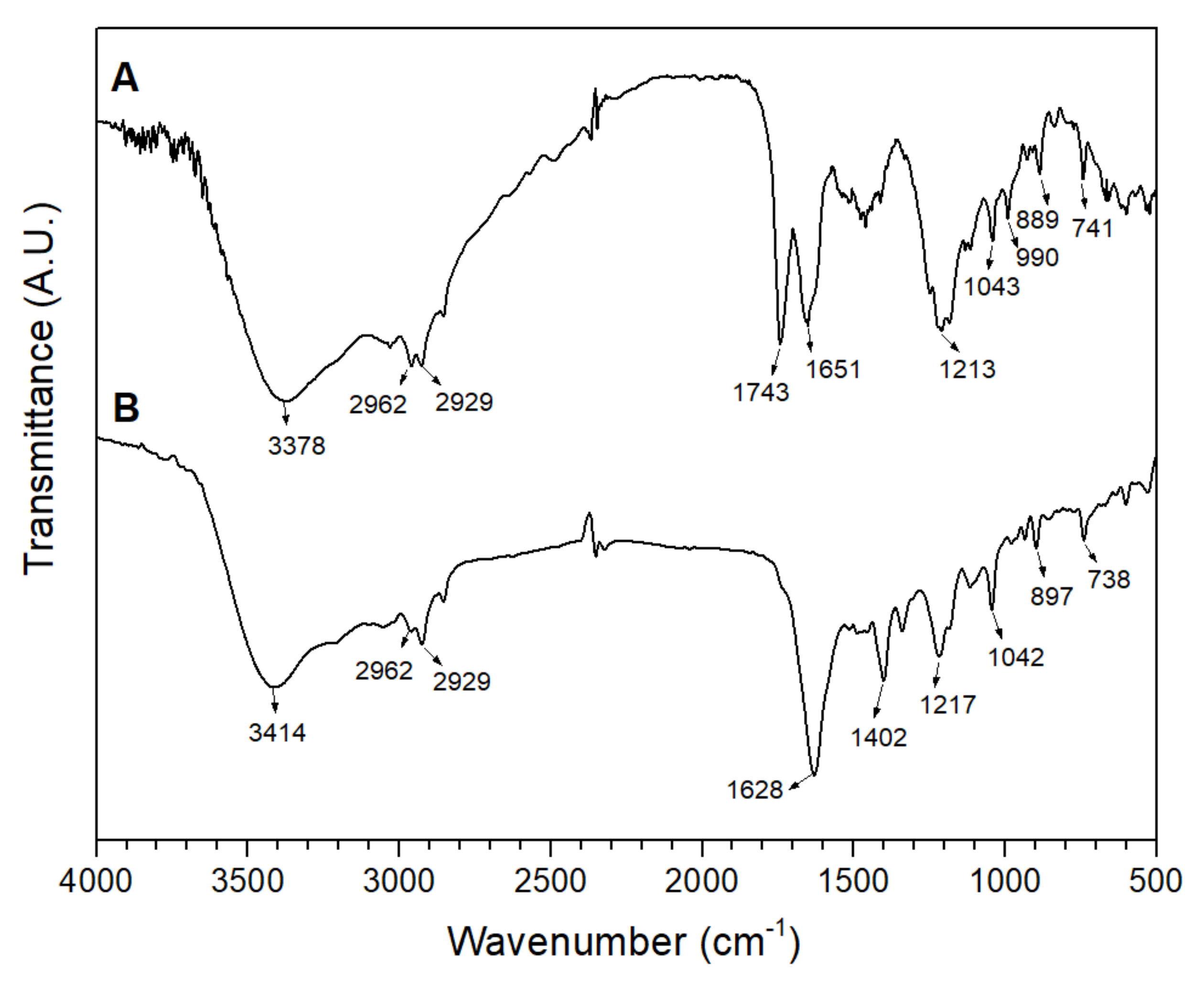 Antioxidants 11 01574 g002 550