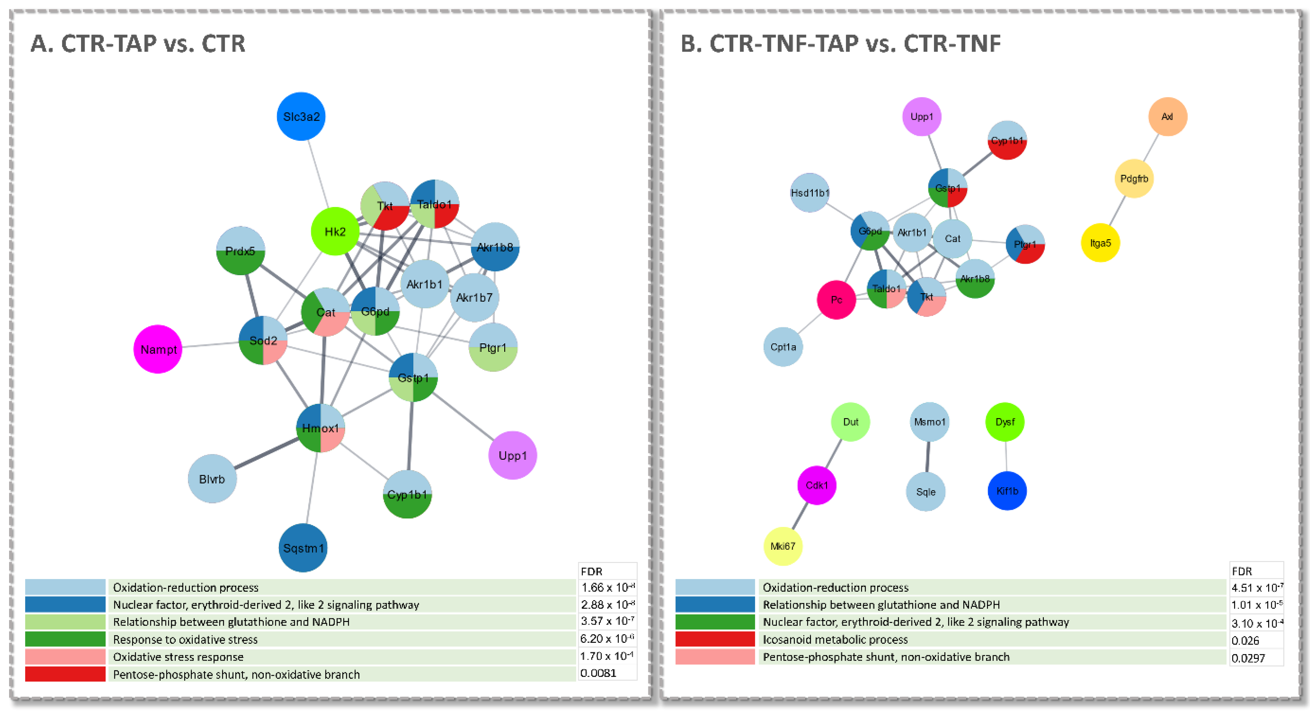 Antioxidants 11 01577 g007 Antioxidants 11 01577 g007