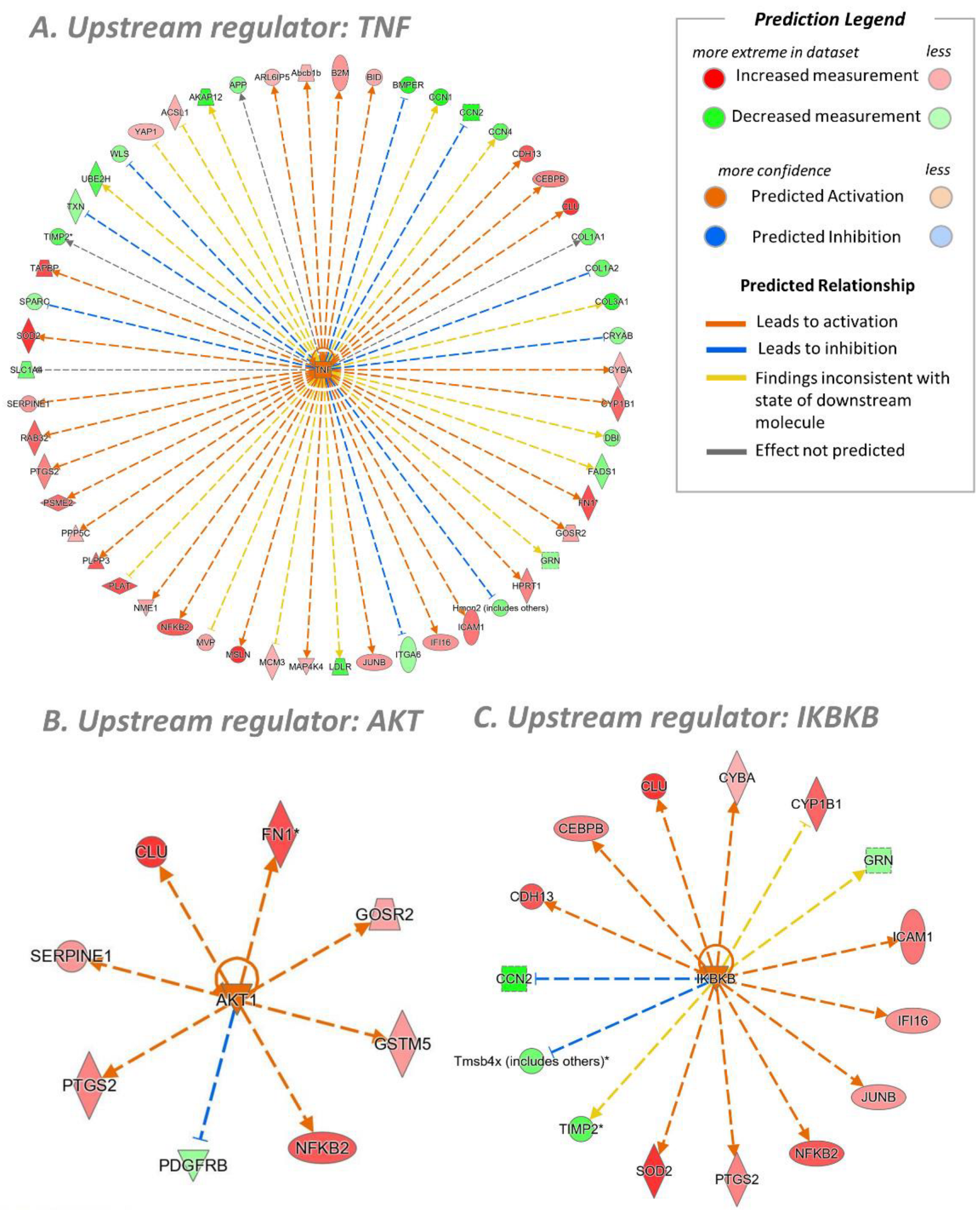Antioxidants 11 01577 g009 Antioxidants 11 01577 g009