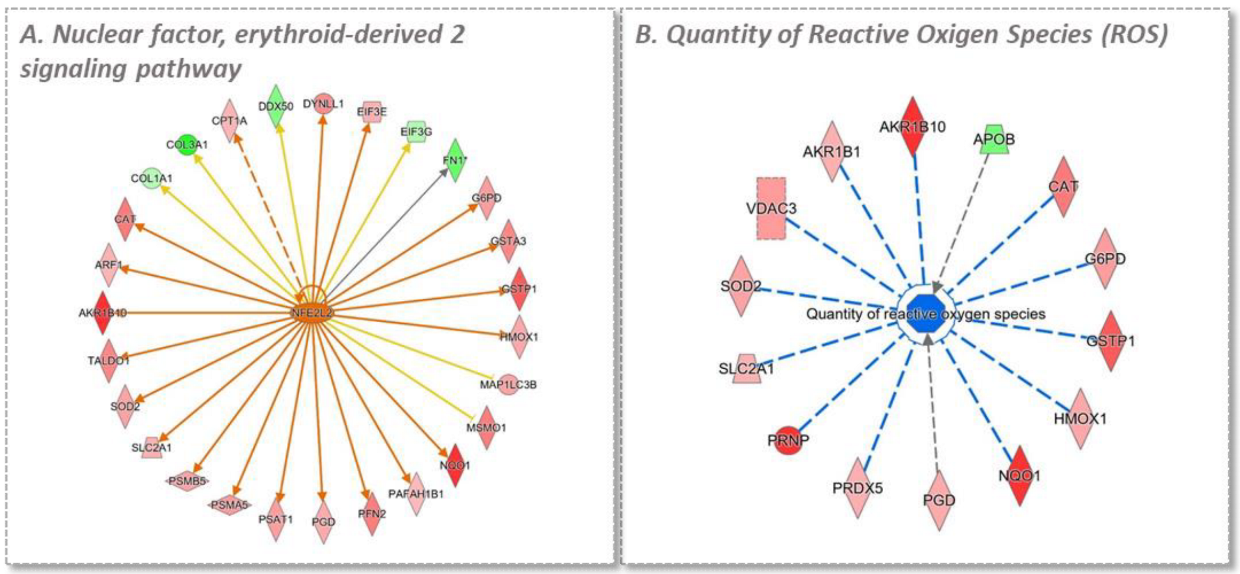 Antioxidants 11 01577 g010 Antioxidants 11 01577 g010