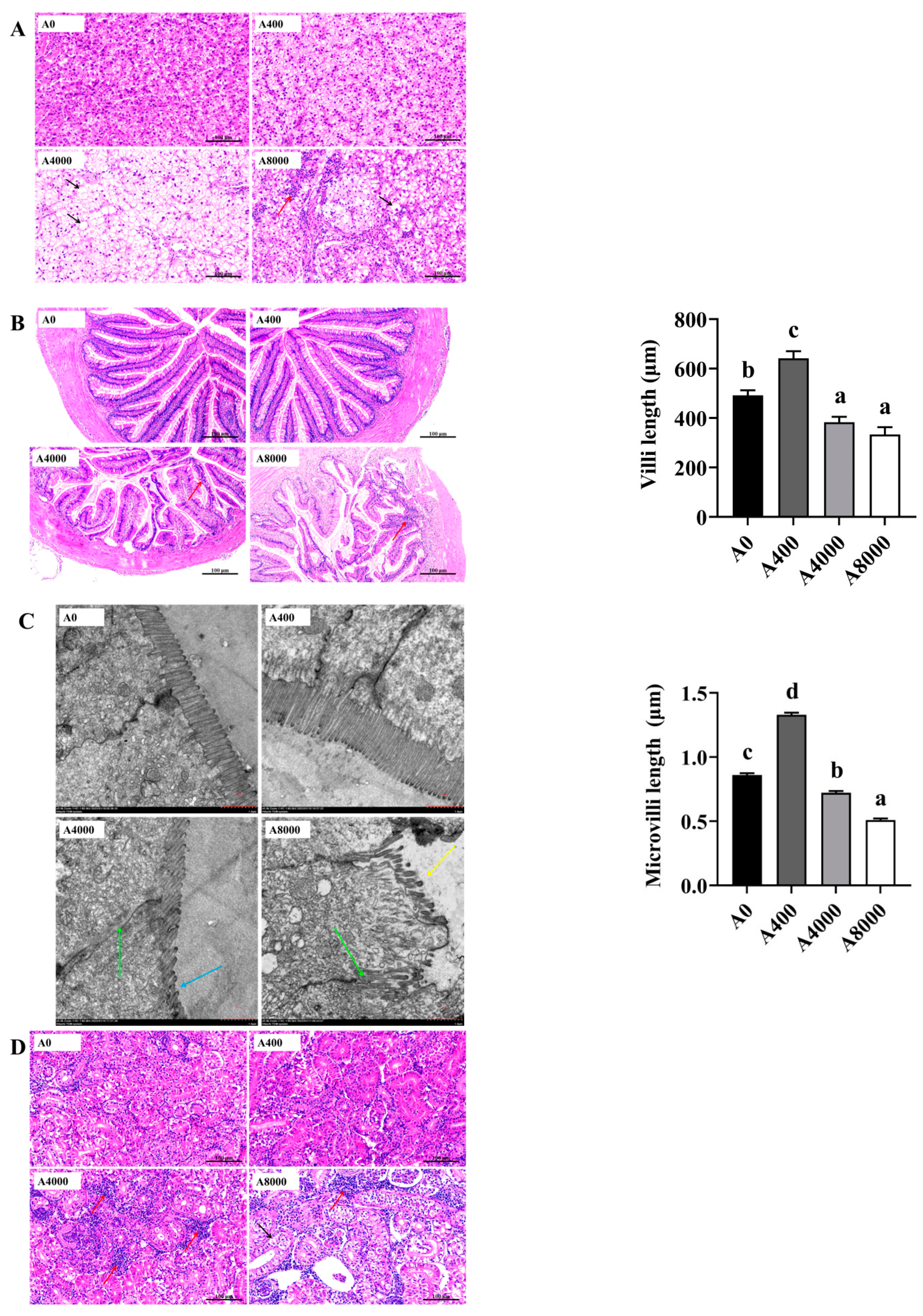 Antioxidants 11 01581 g006