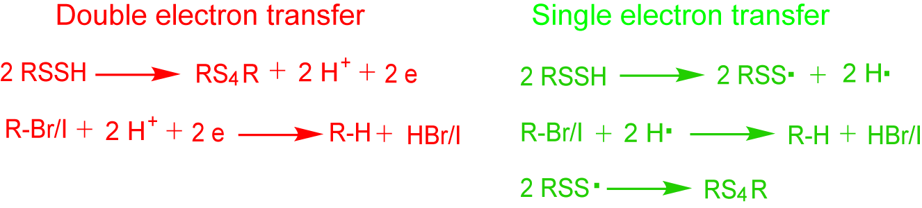 Antioxidants 11 01583 g005 550