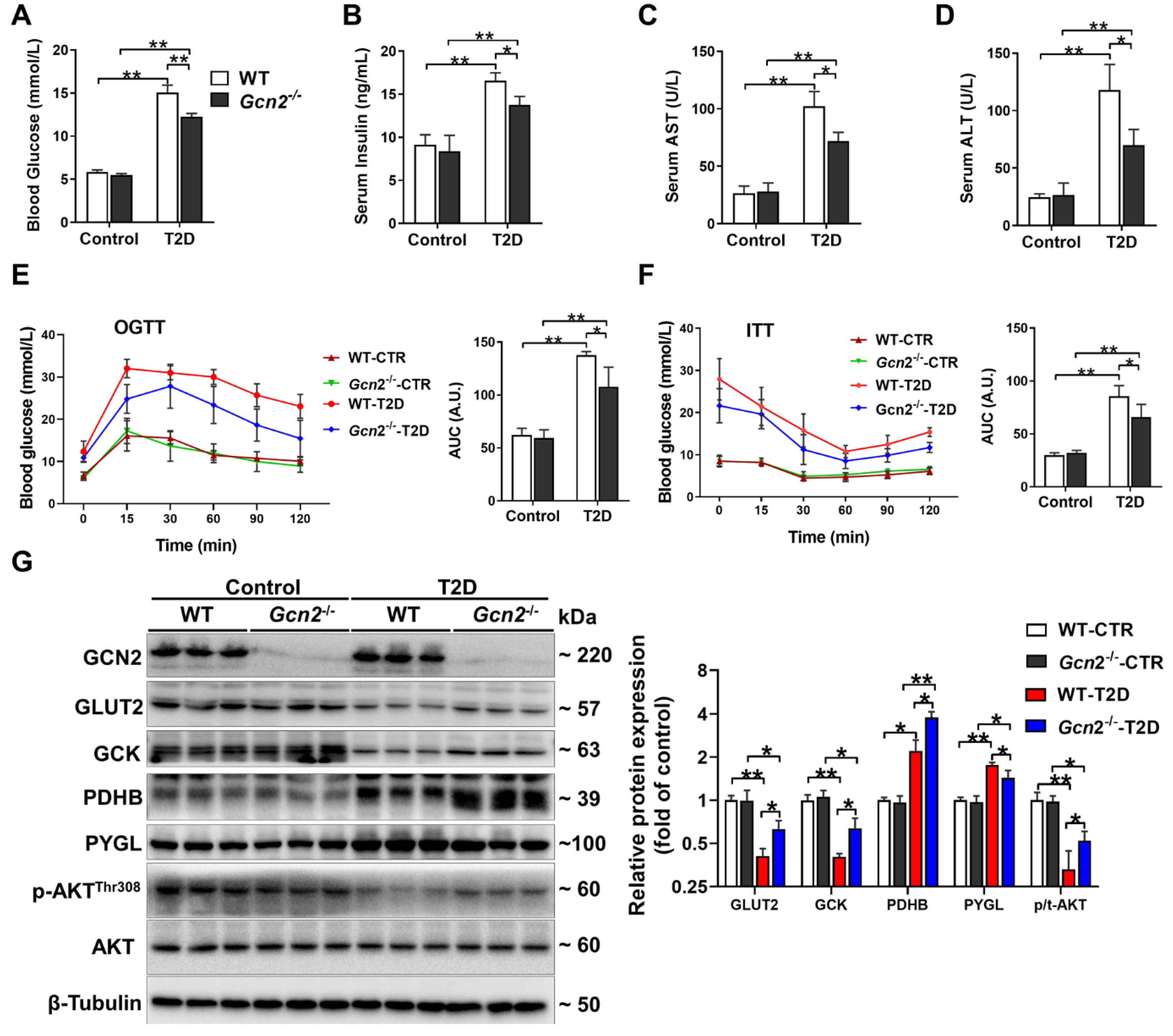 Antioxidants 11 01584 g001 Antioxidants 11 01584 g001