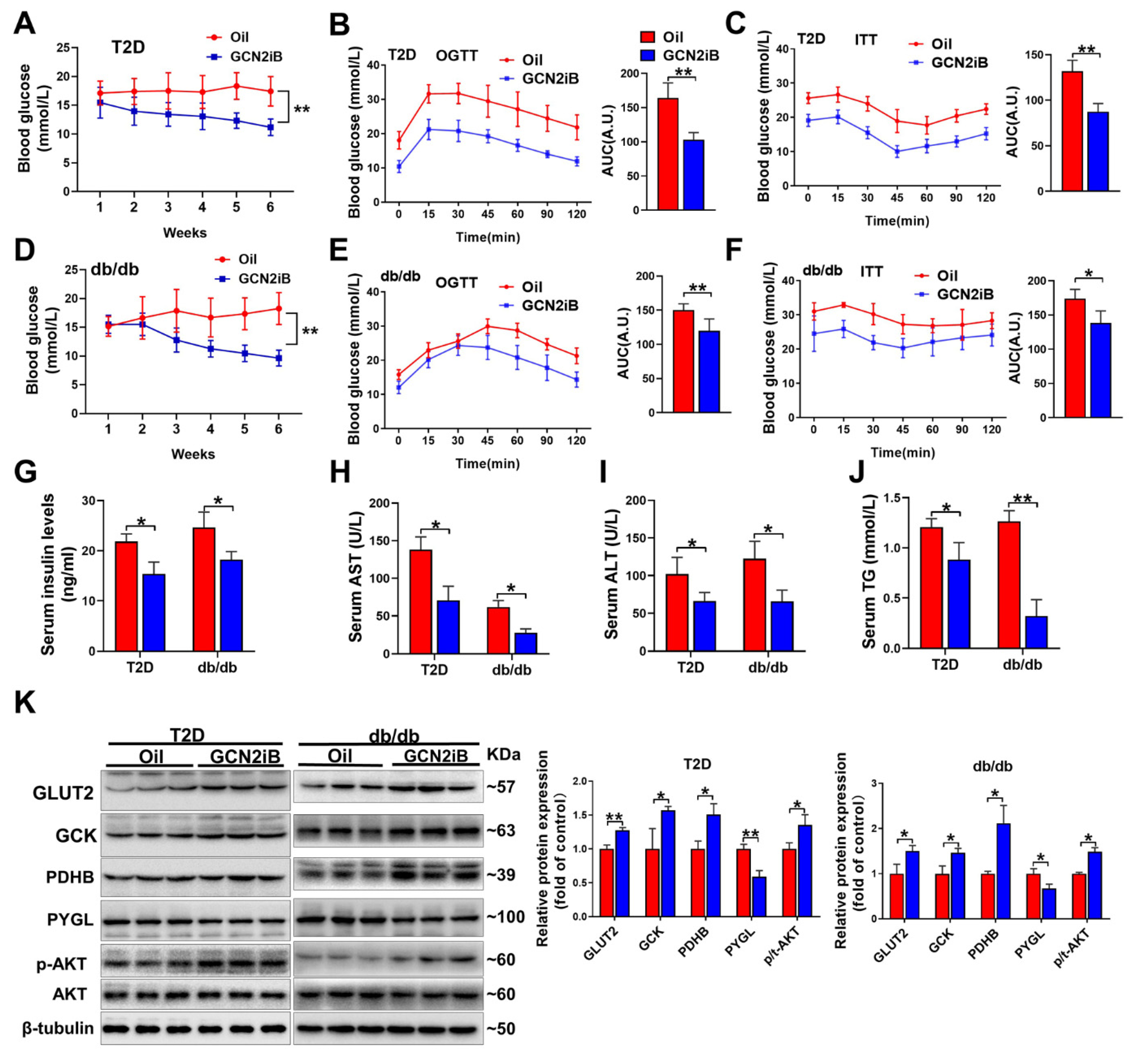 Antioxidants 11 01584 g003 Antioxidants 11 01584 g003