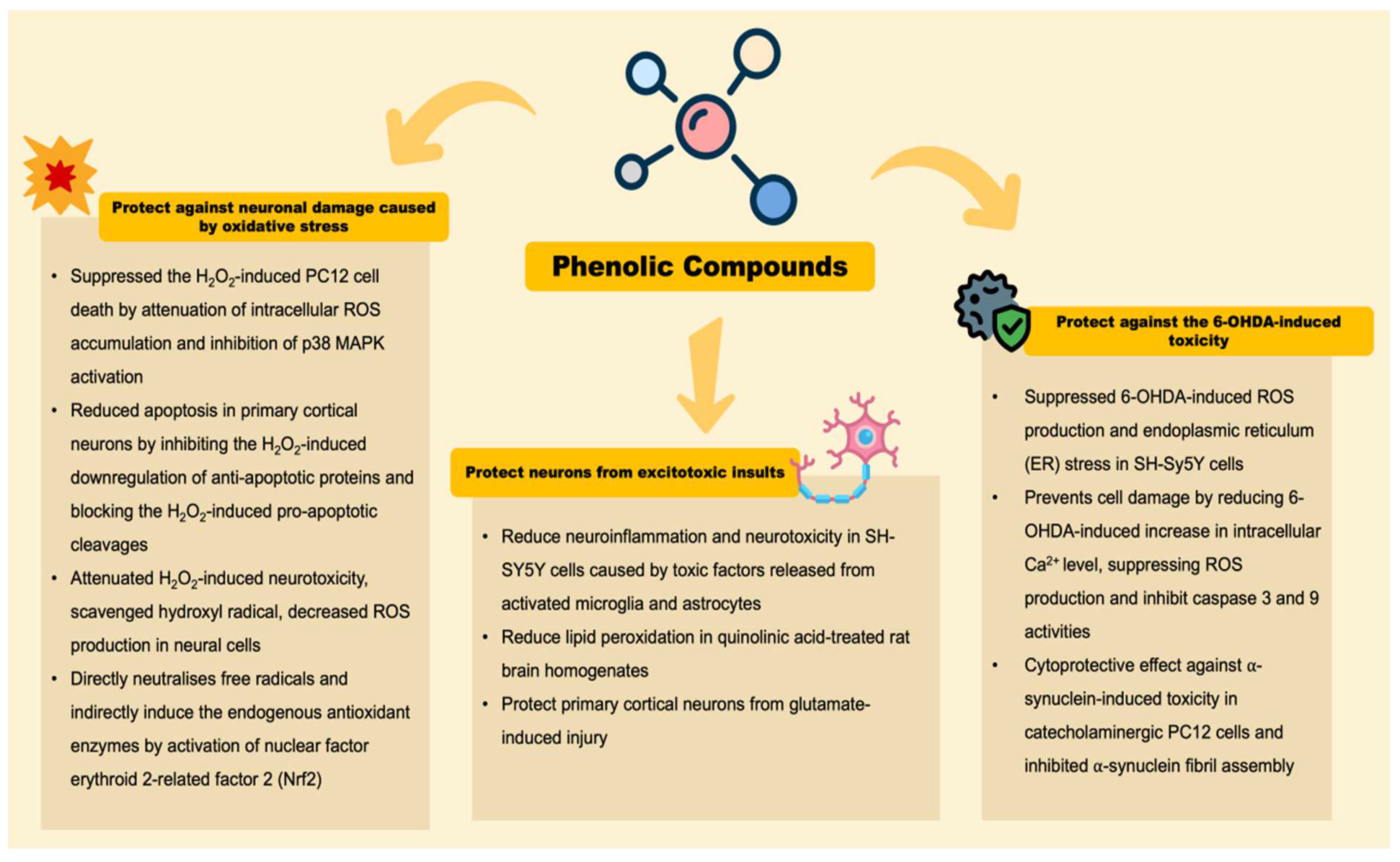 Antioxidants 11 01587 g003