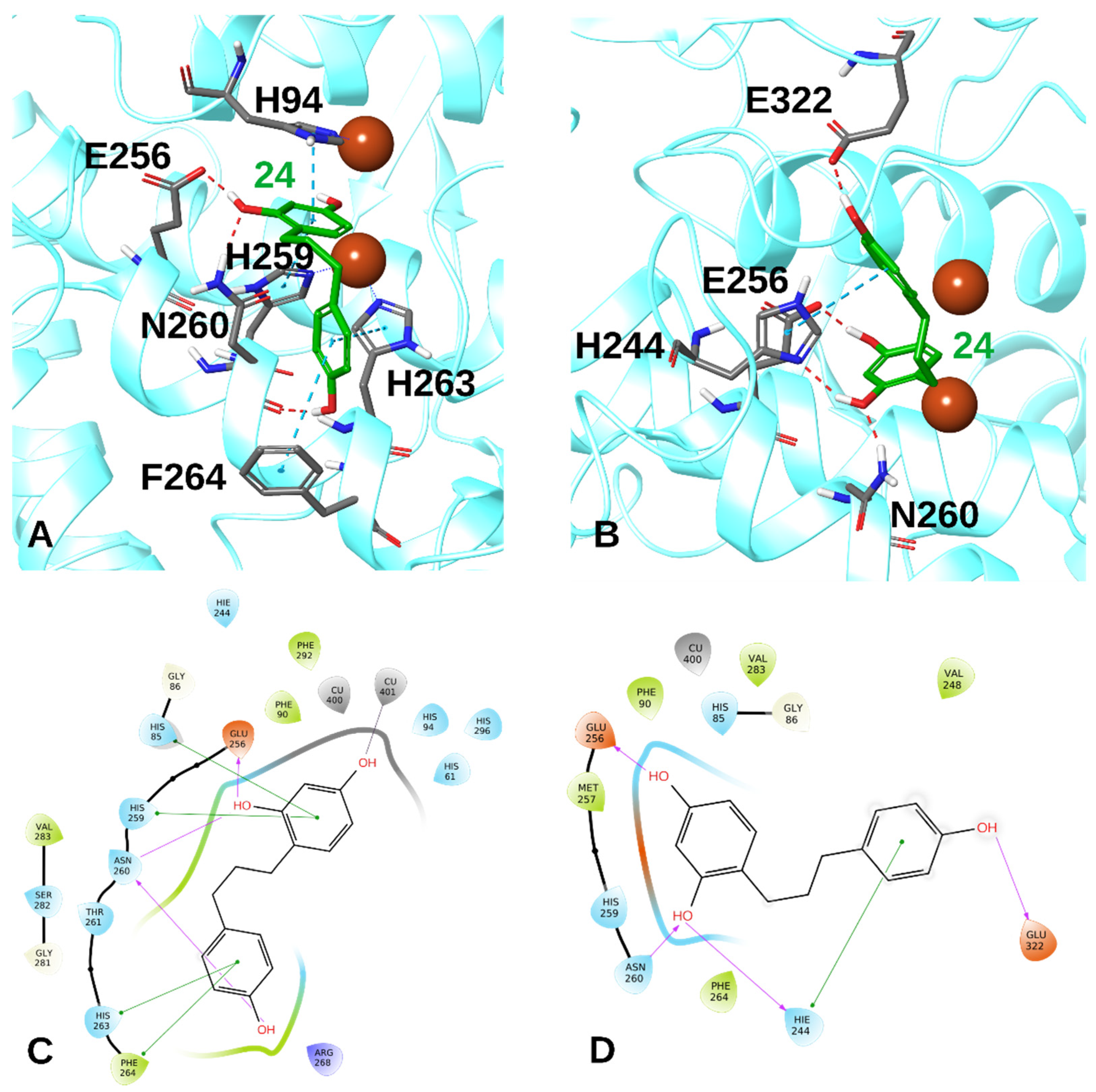 Antioxidants 11 01593 g003