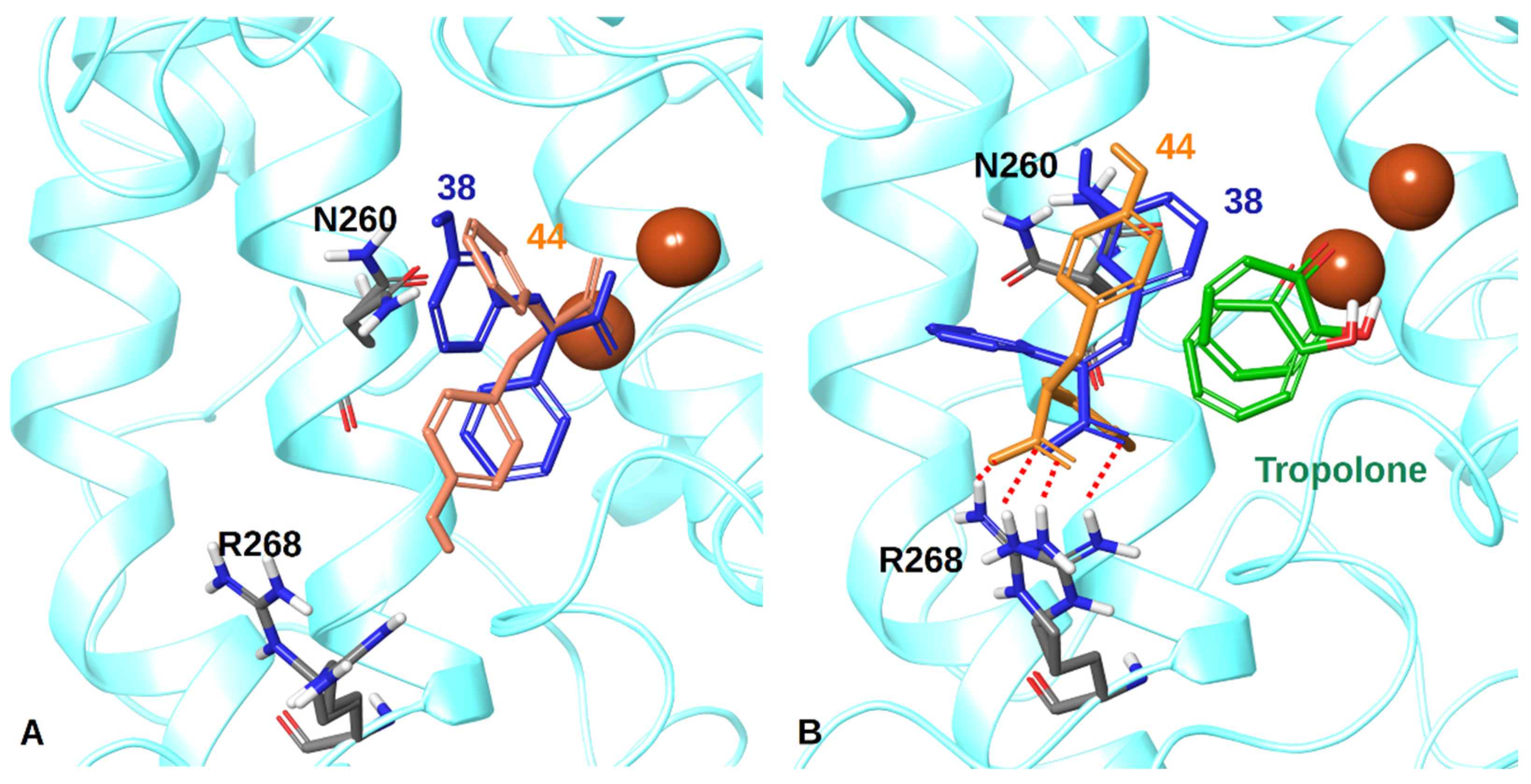 Antioxidants 11 01593 g004