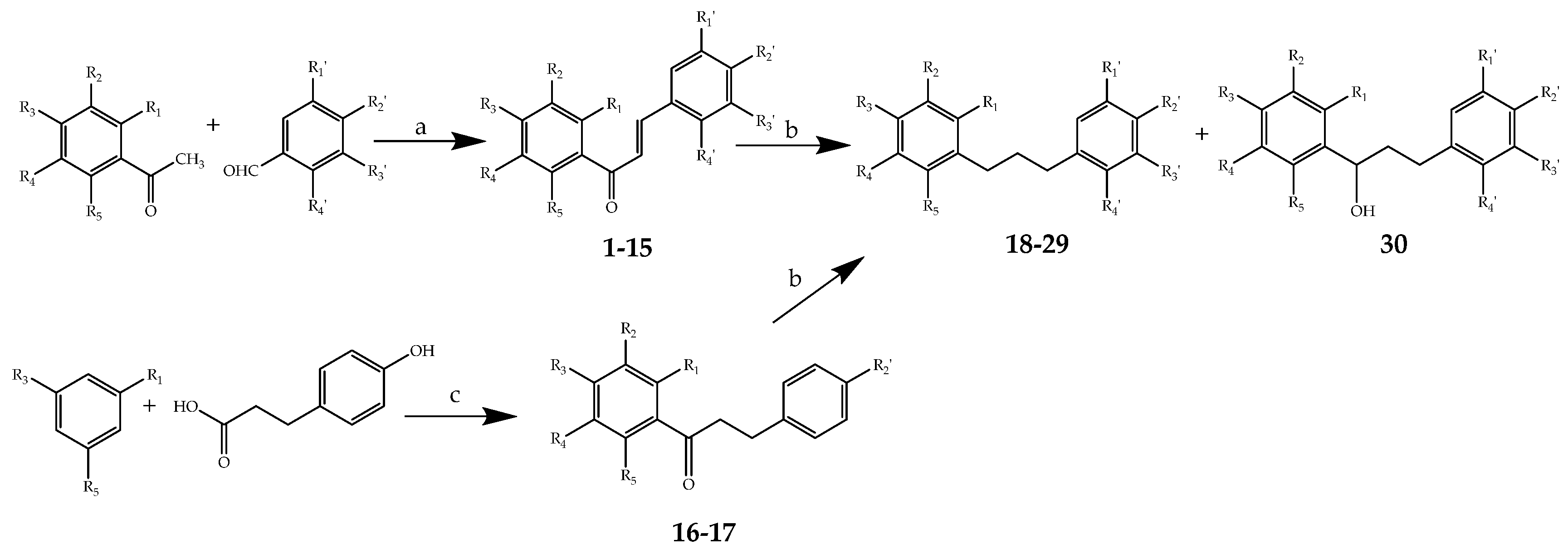 Antioxidants 11 01593 sch002