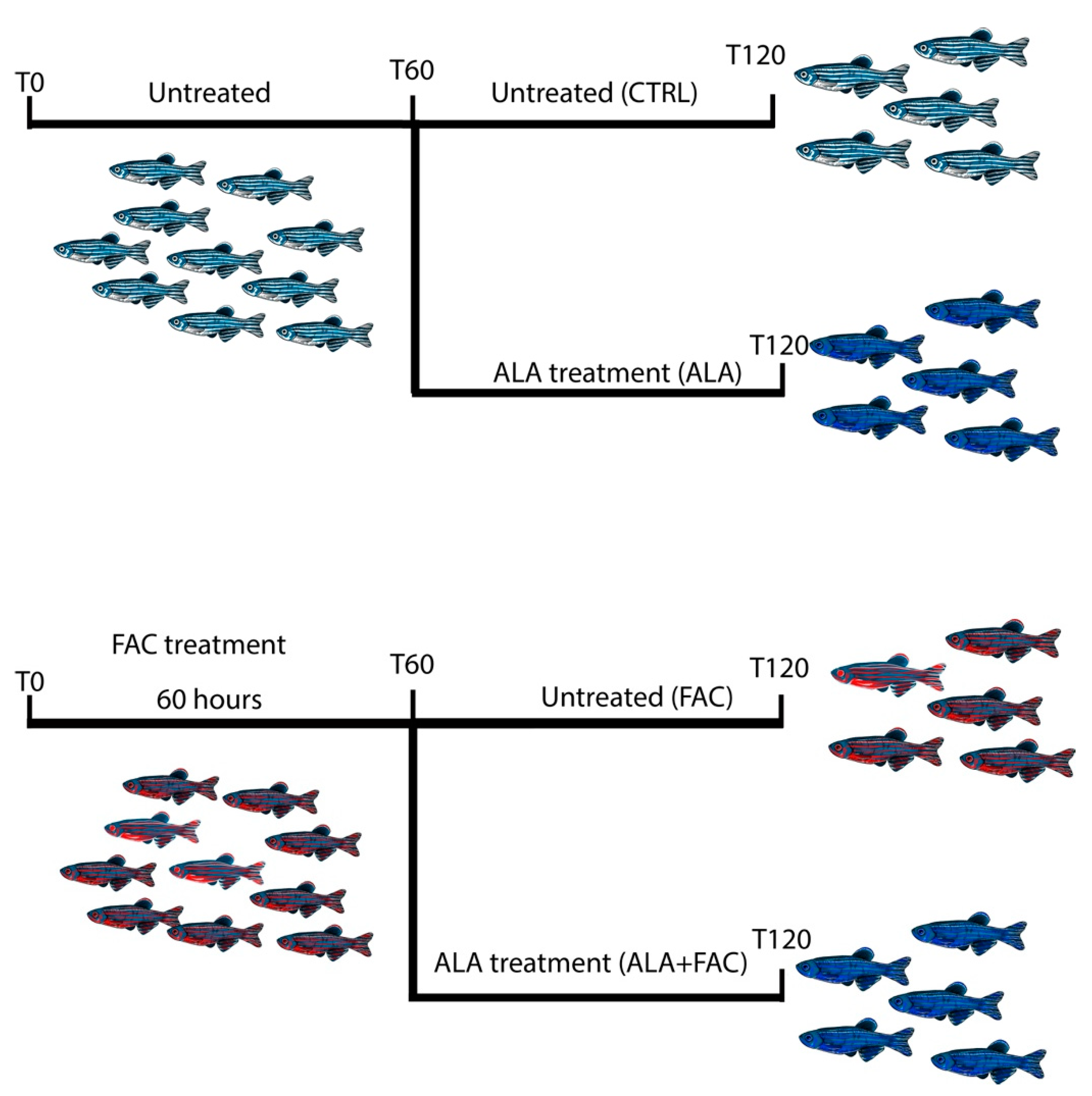 Antioxidants 11 01596 g005