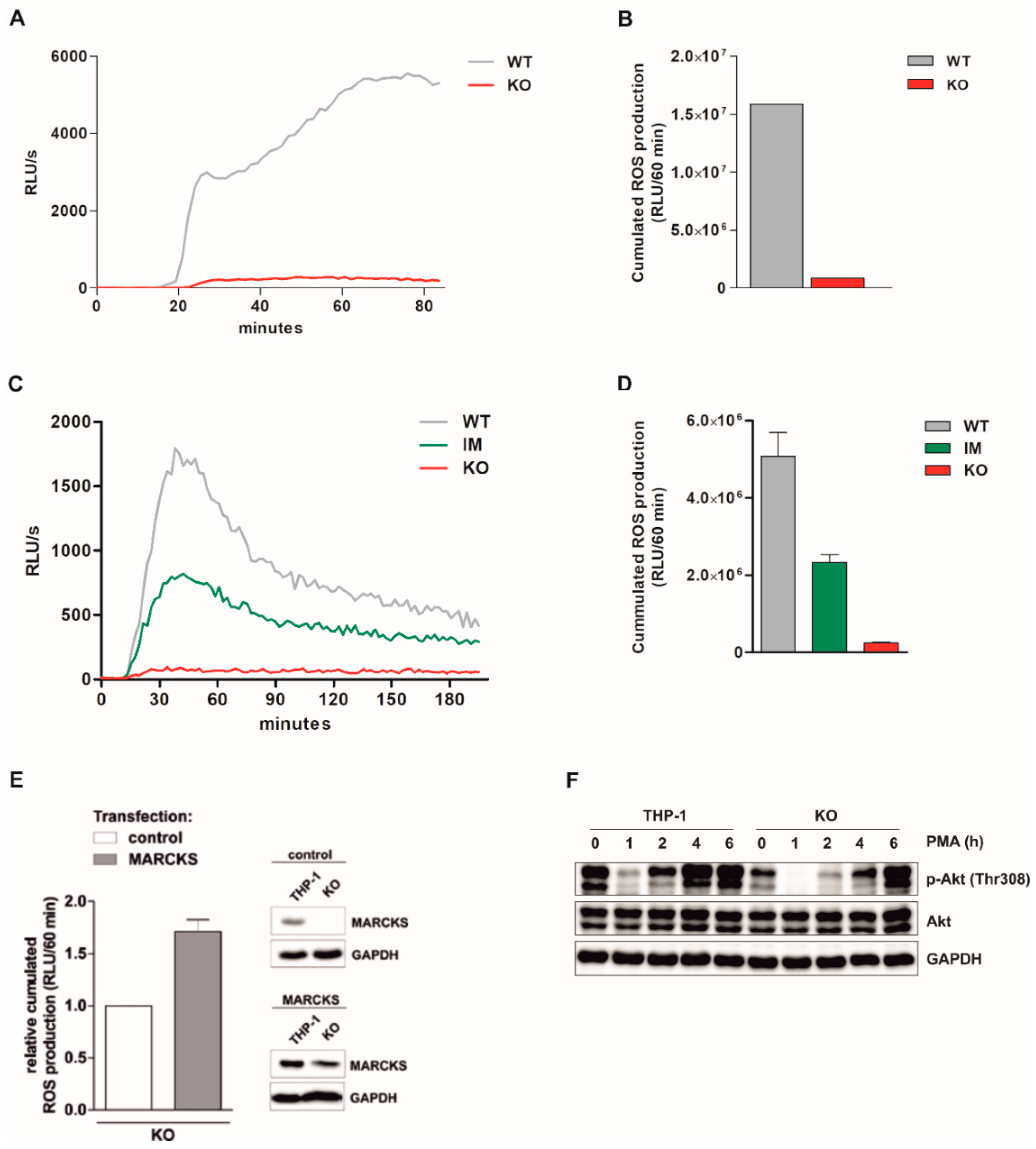 Antioxidants 11 01600 g002 Antioxidants 11 01600 g002