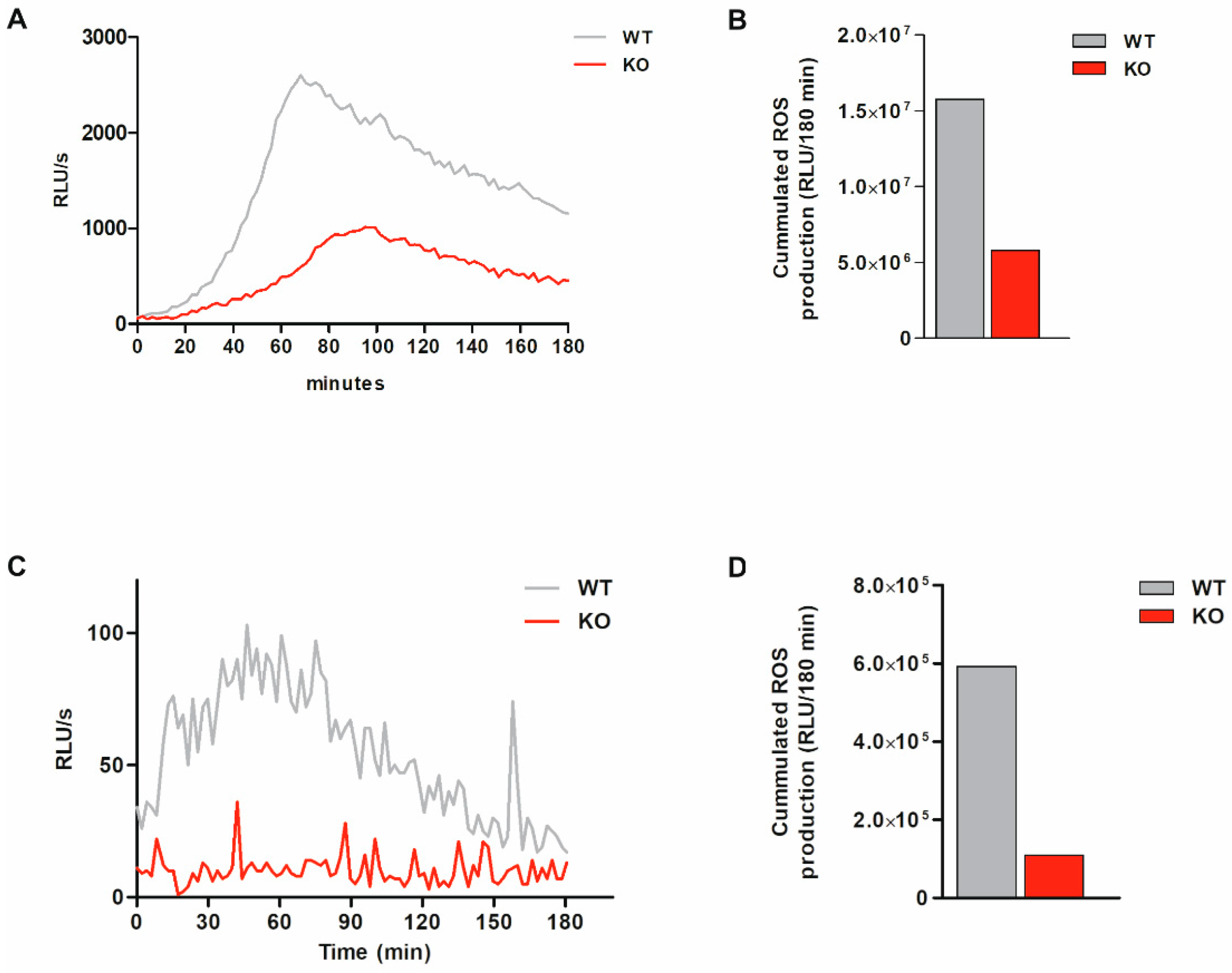 Antioxidants 11 01600 g003 Antioxidants 11 01600 g003