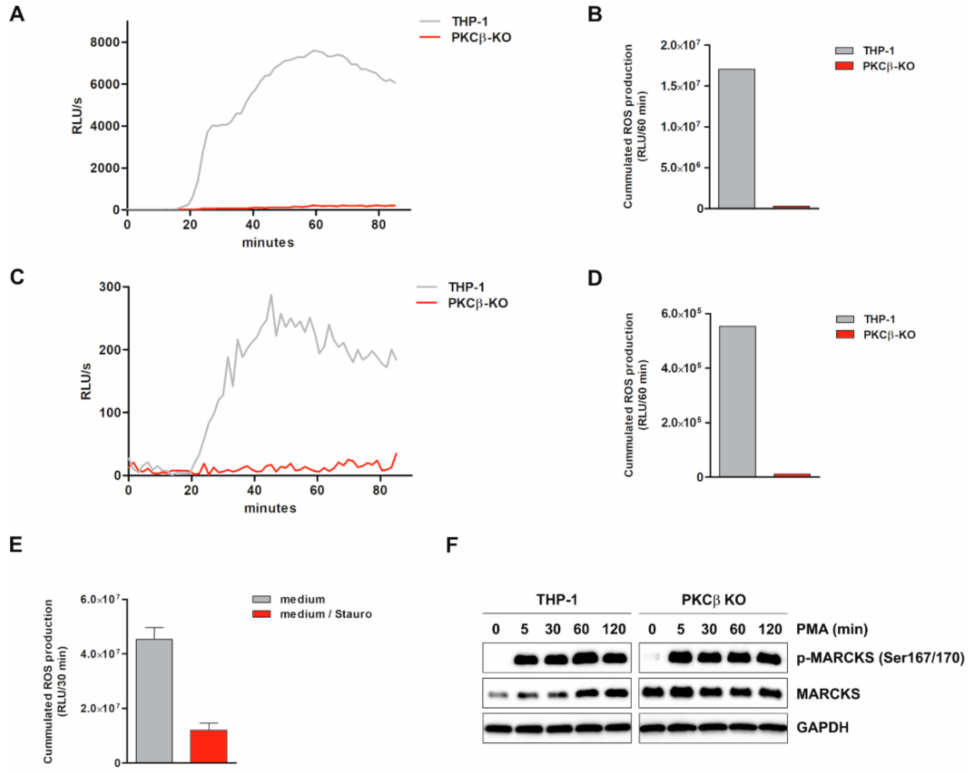 Antioxidants 11 01600 g004 Antioxidants 11 01600 g004