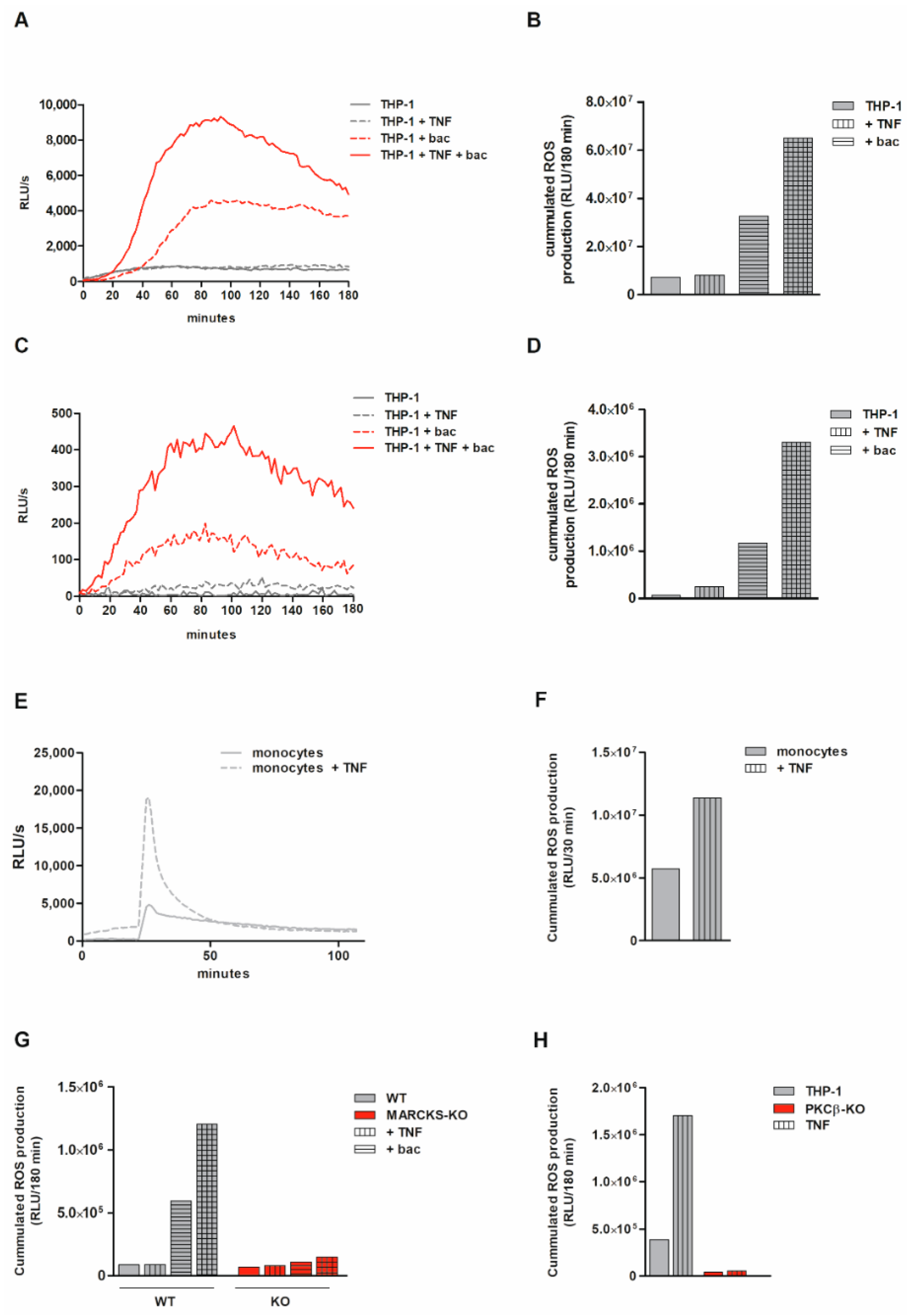 Antioxidants 11 01600 g005 Antioxidants 11 01600 g005
