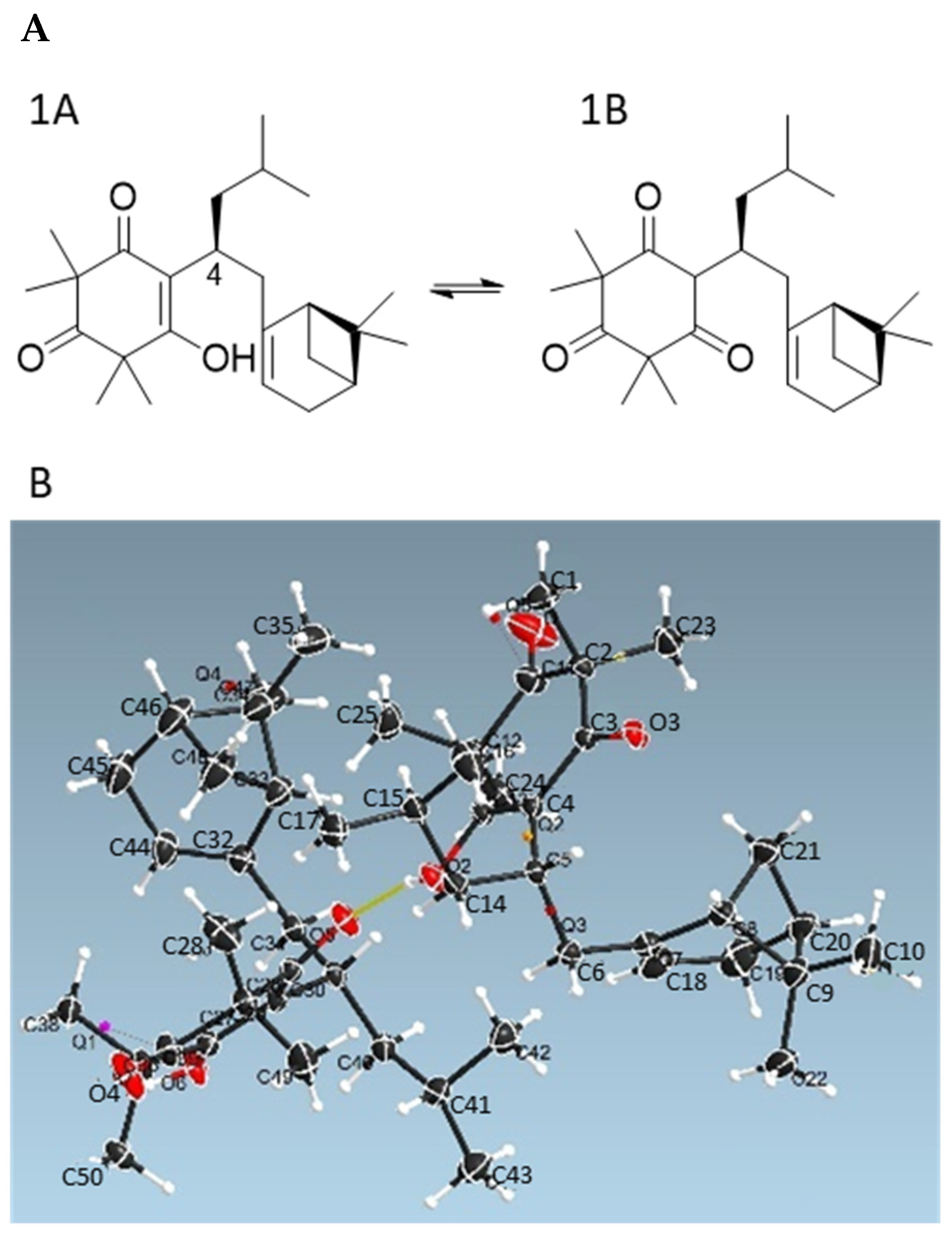 Antioxidants 11 01604 g002 550