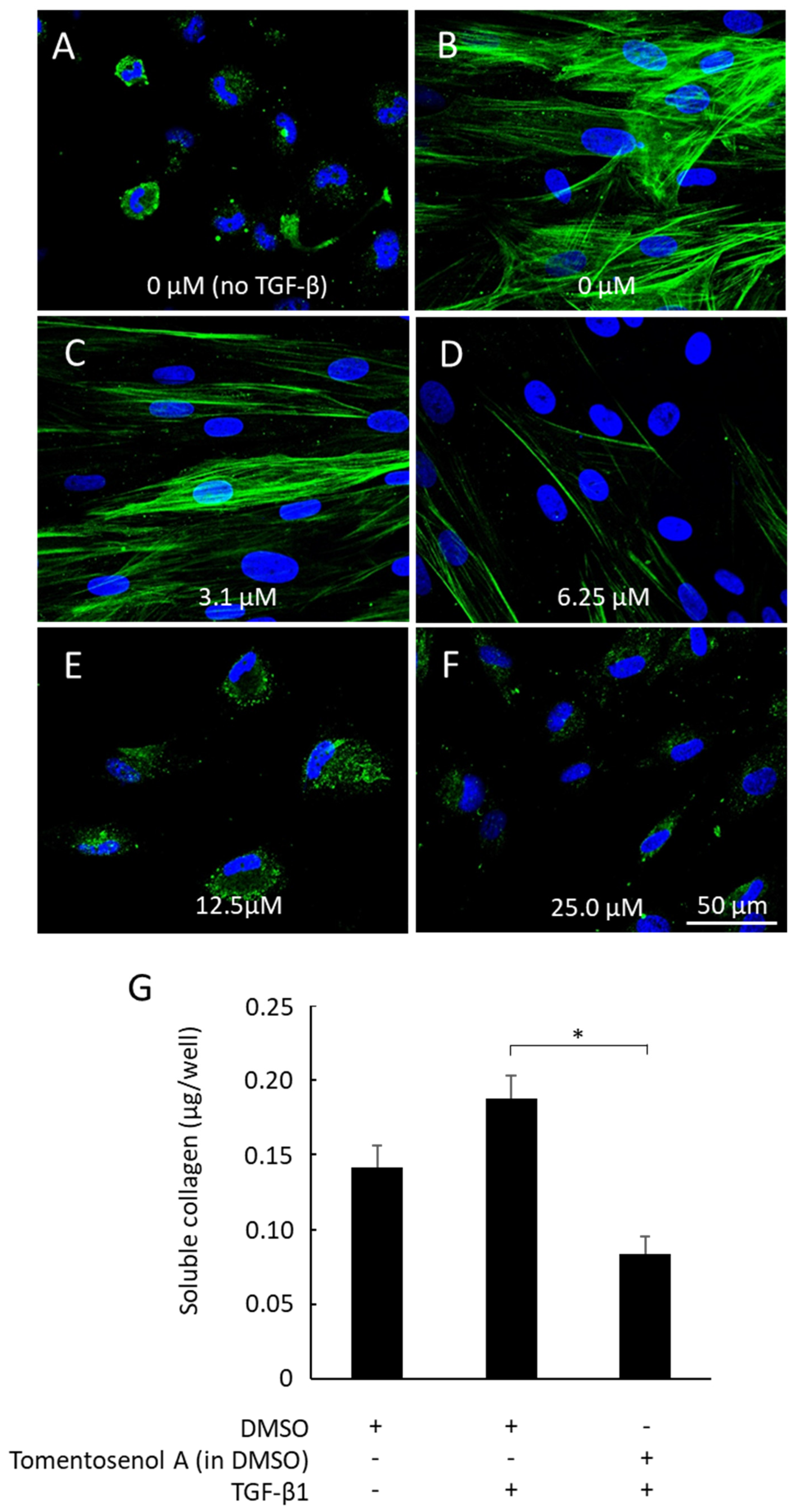 Antioxidants 11 01604 g006 550