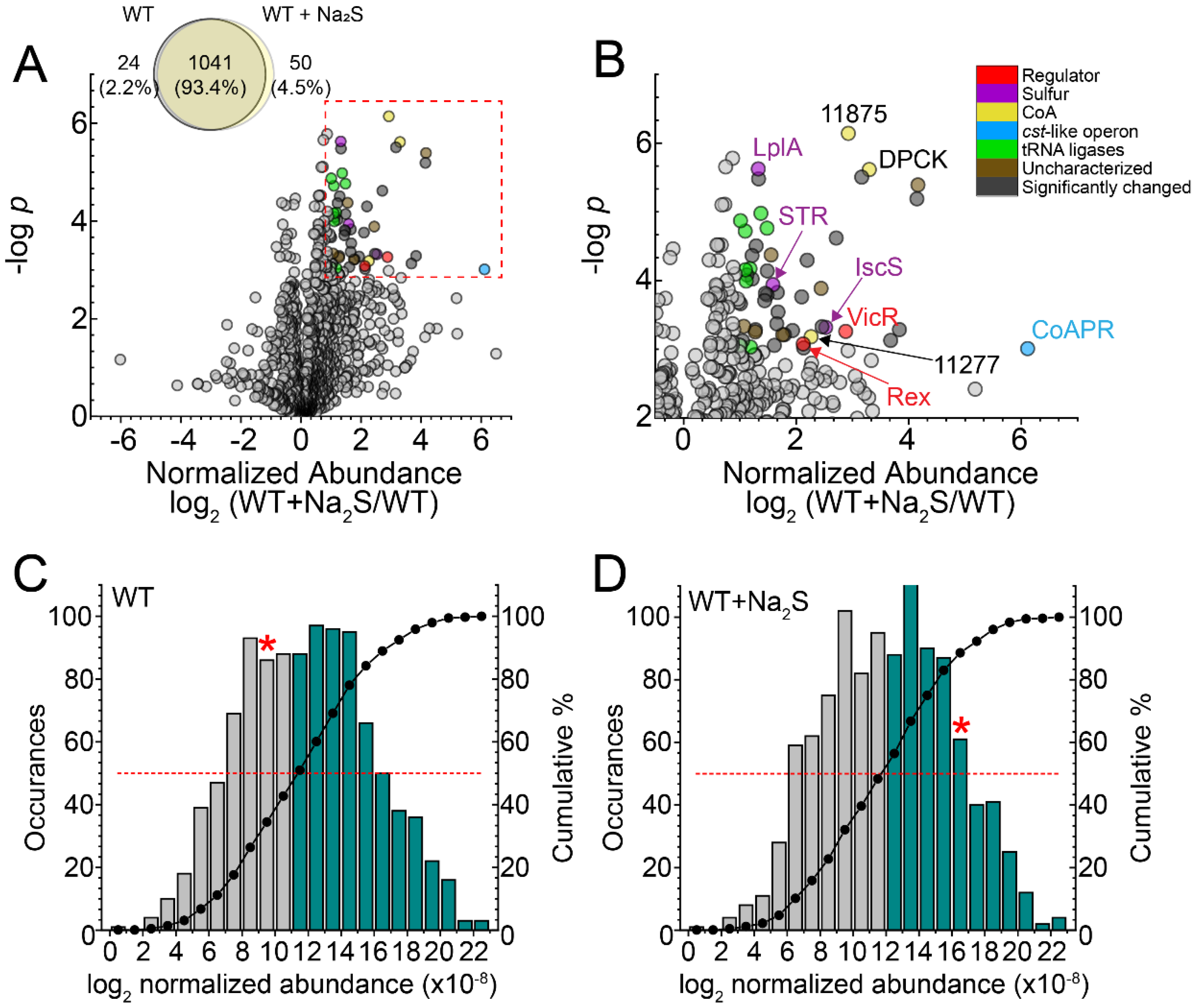 Antioxidants 11 01607 g001