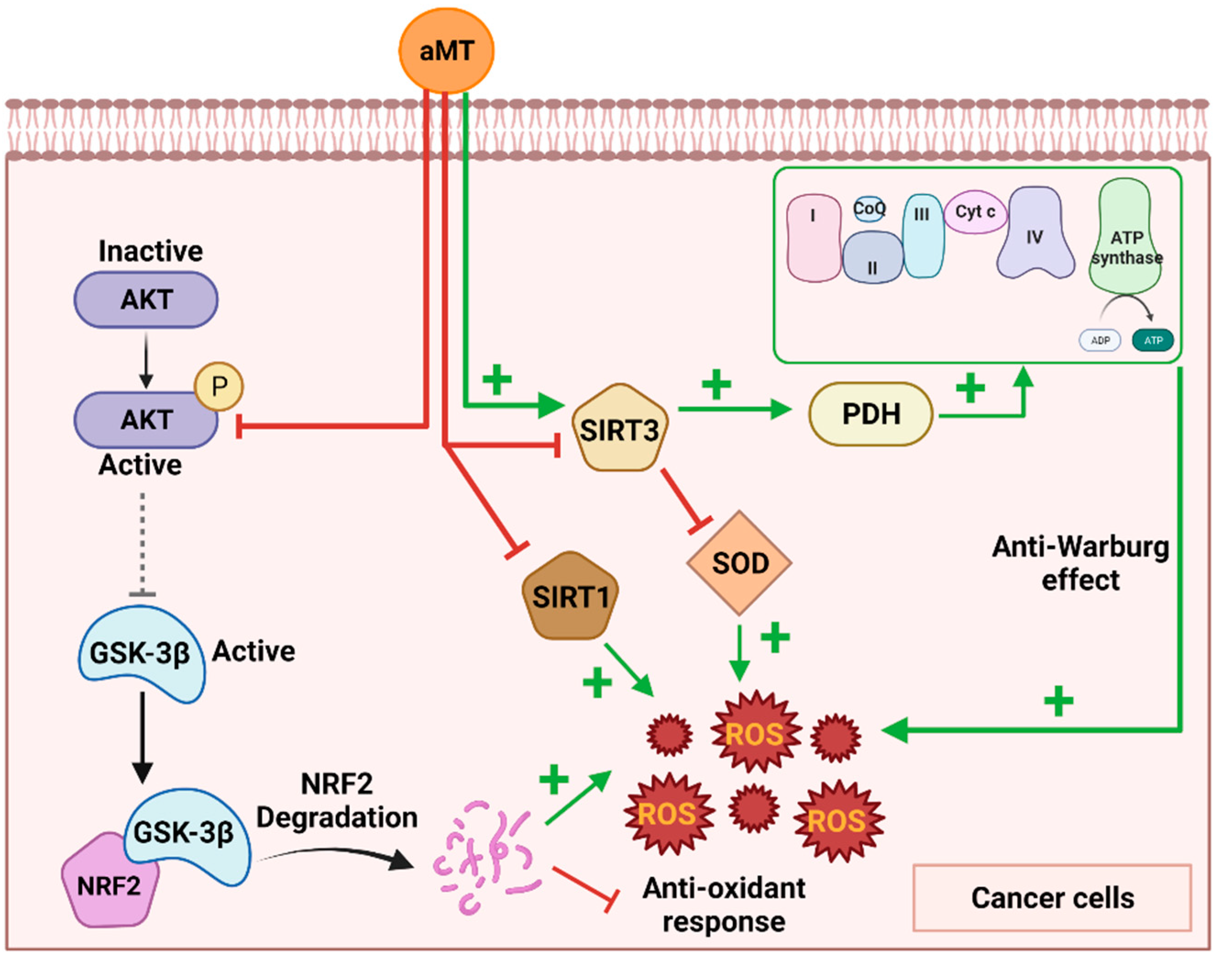 Antioxidants 11 01621 g002 550