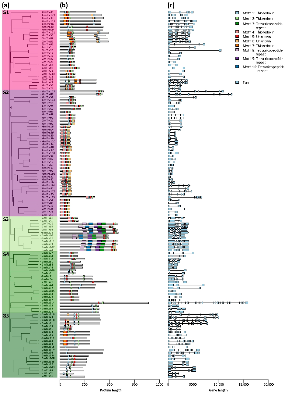 Antioxidants 11 01622 g002 550