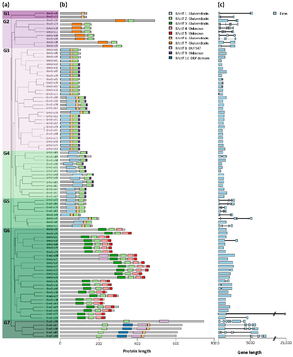 Antioxidants 11 01622 g003 550