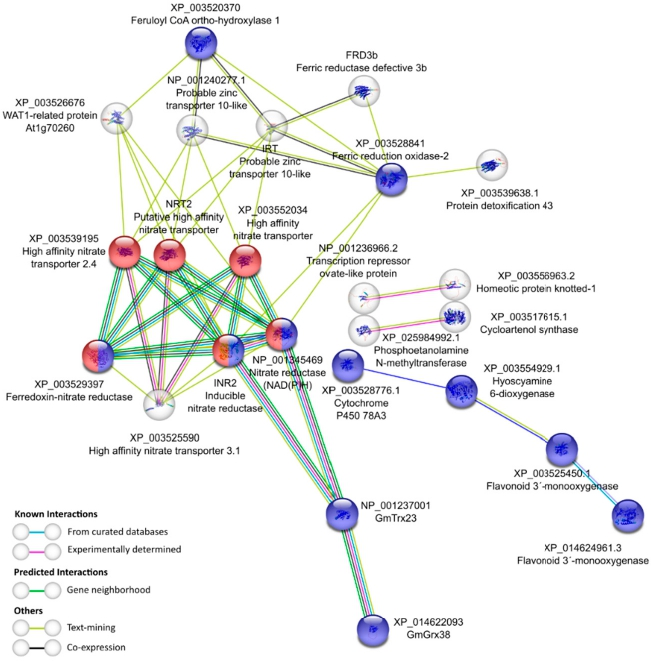 Antioxidants 11 01622 g006 550