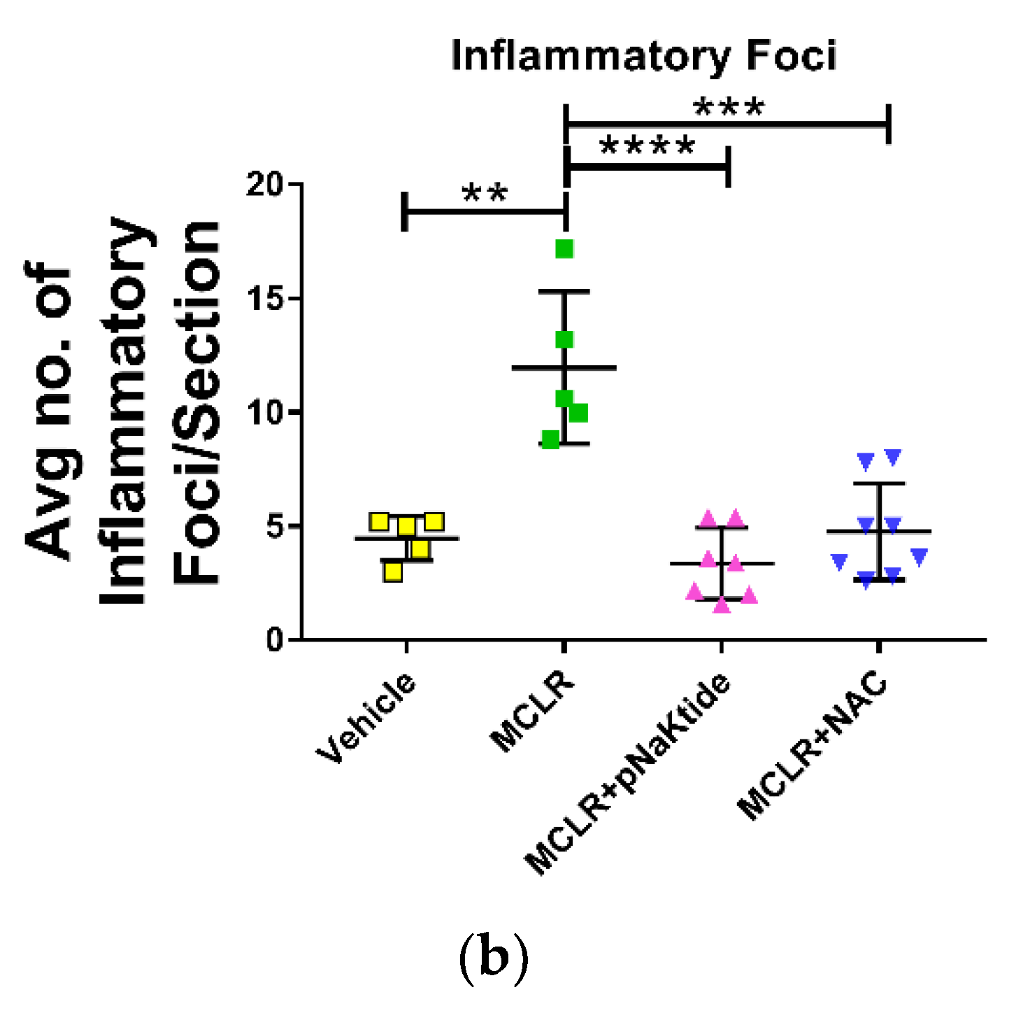 Antioxidants 11 01625 g003b