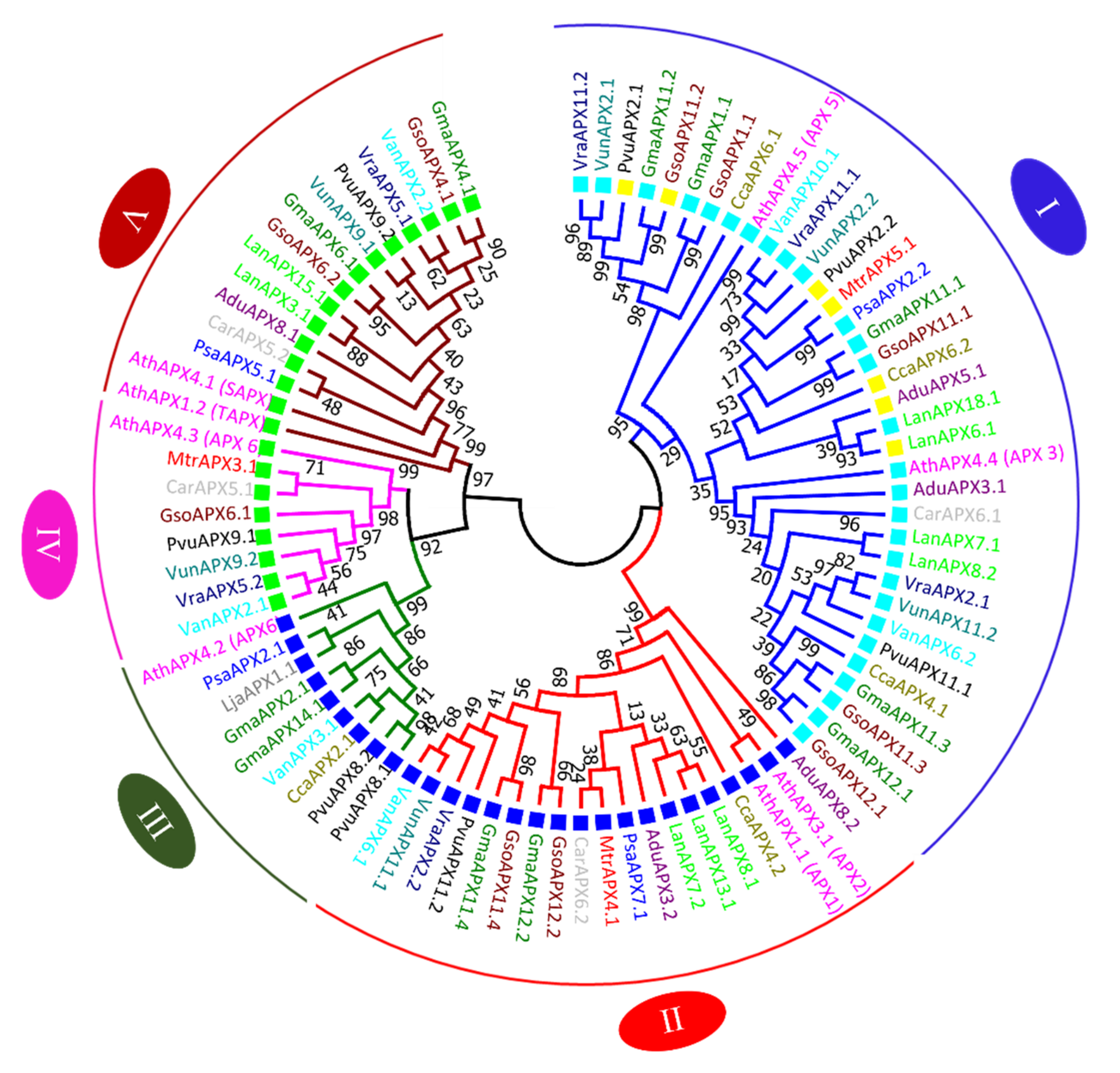Antioxidants 11 01626 g004