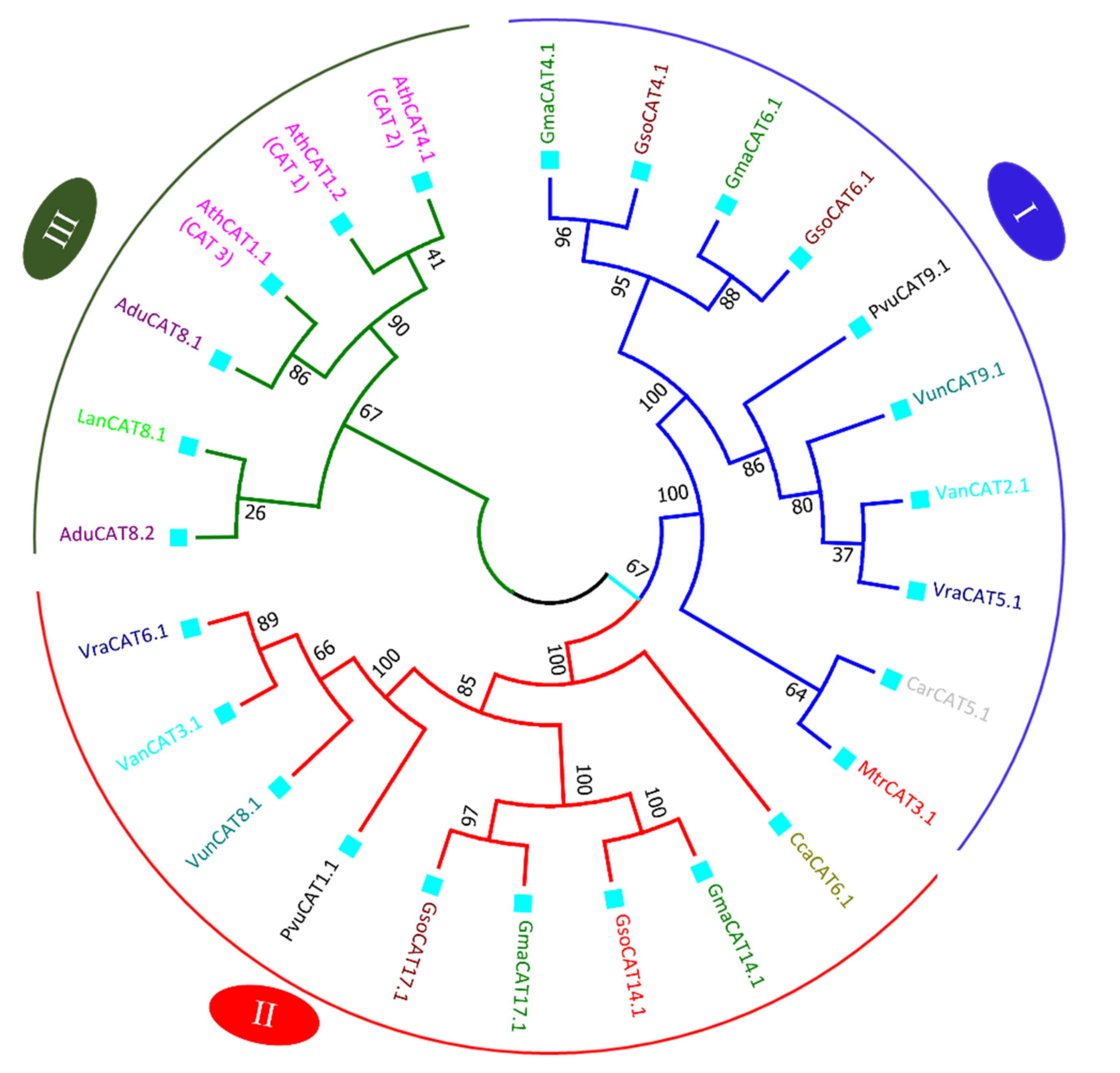 Antioxidants 11 01626 g005