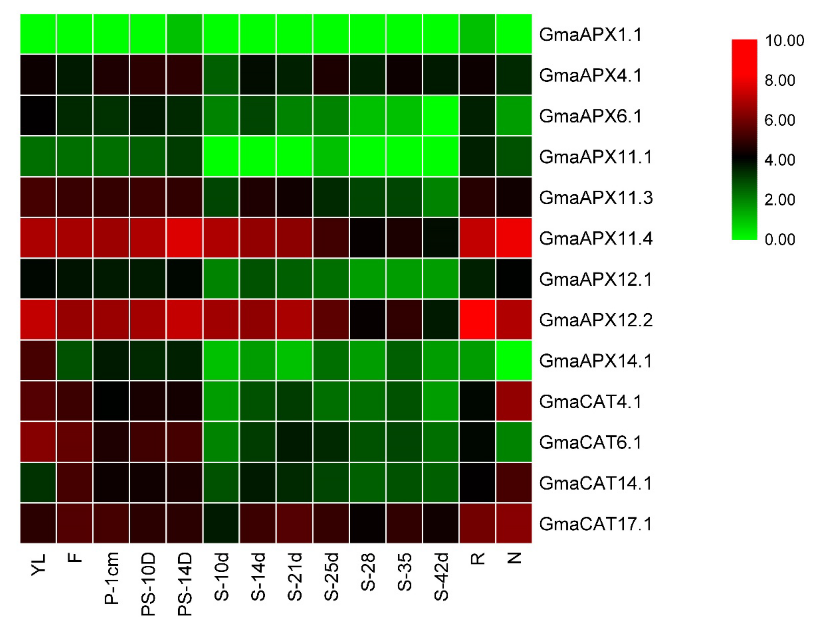 Antioxidants 11 01626 g007