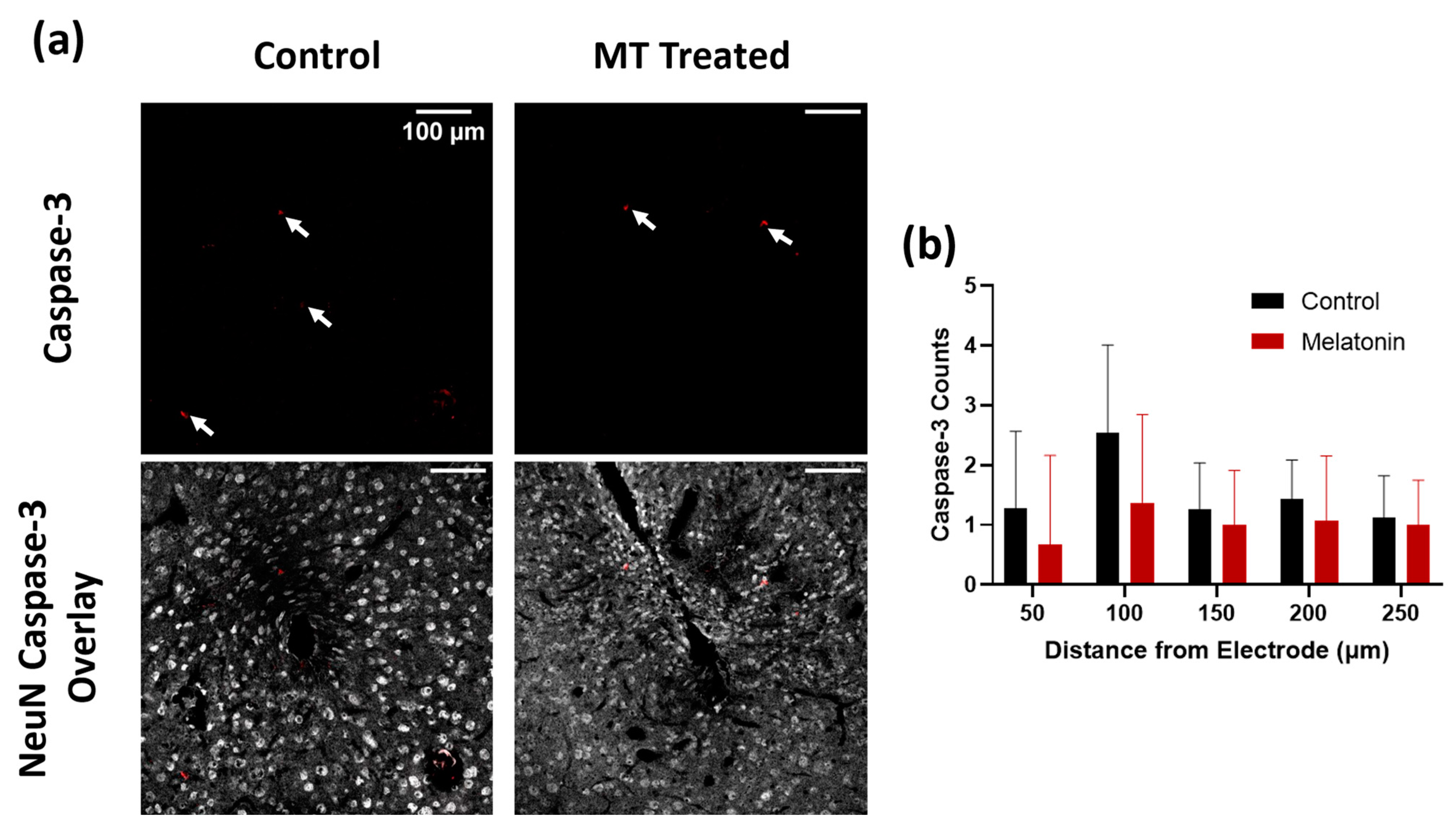 Antioxidants 11 01628 g002 550