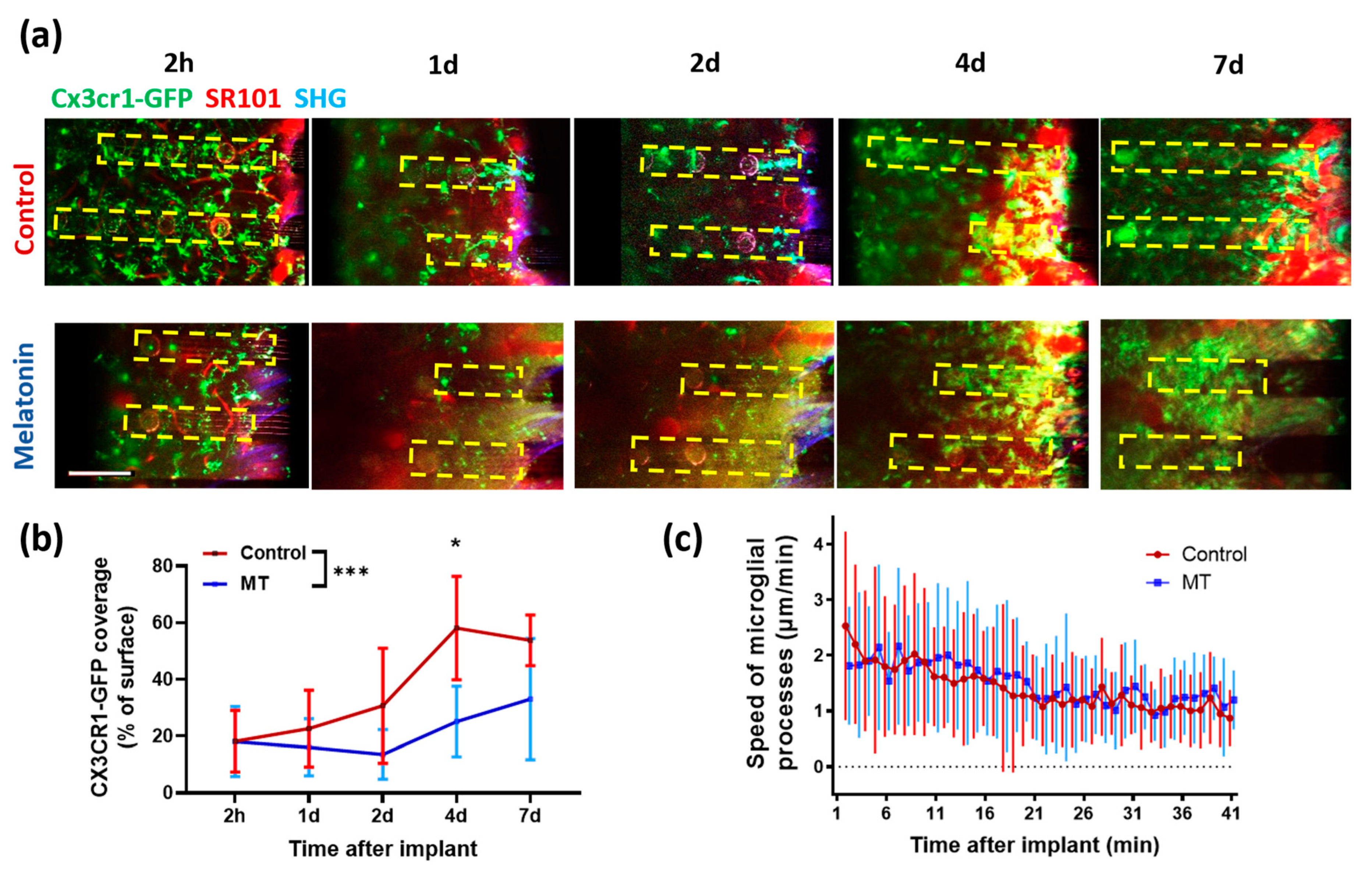 Antioxidants 11 01628 g006 550
