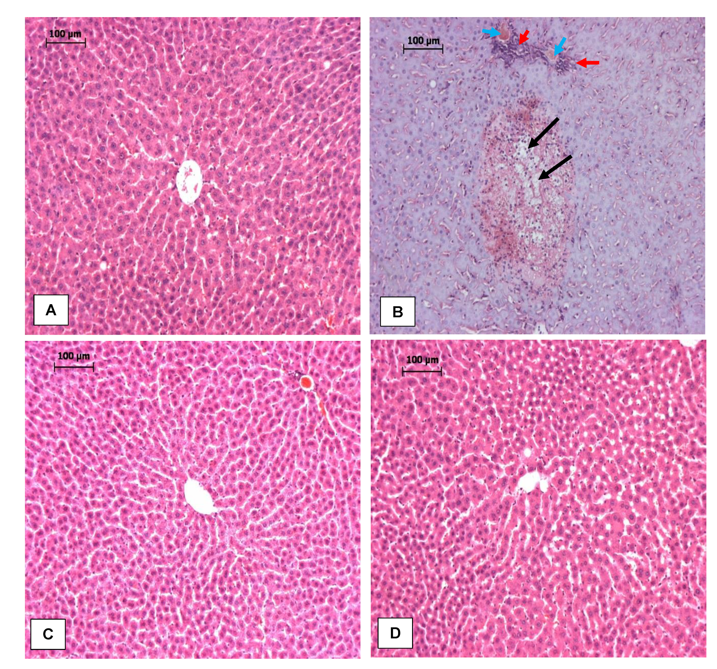 Antioxidants 11 01629 g003