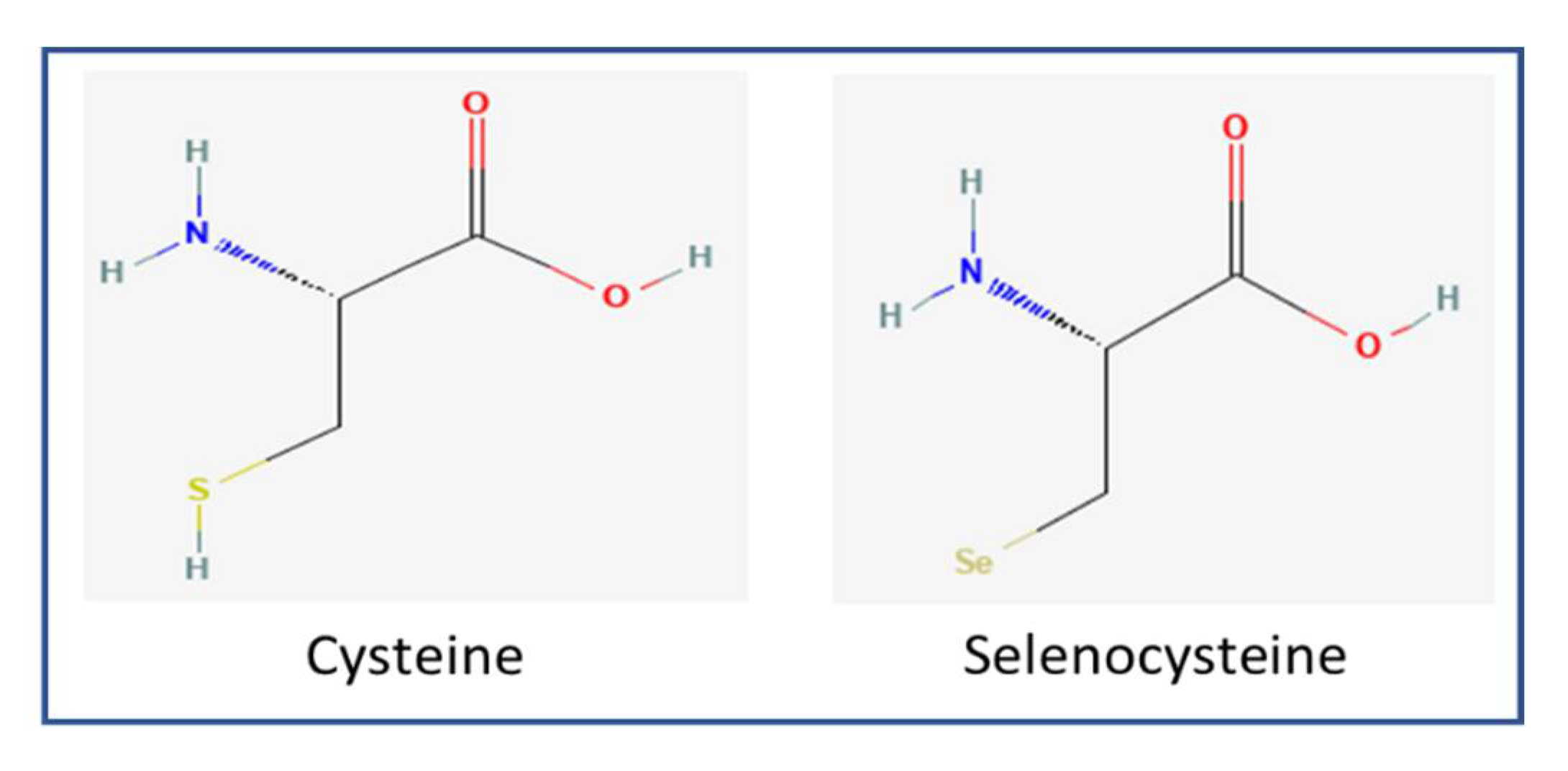 Antioxidants 11 01630 g001 Antioxidants 11 01630 g001