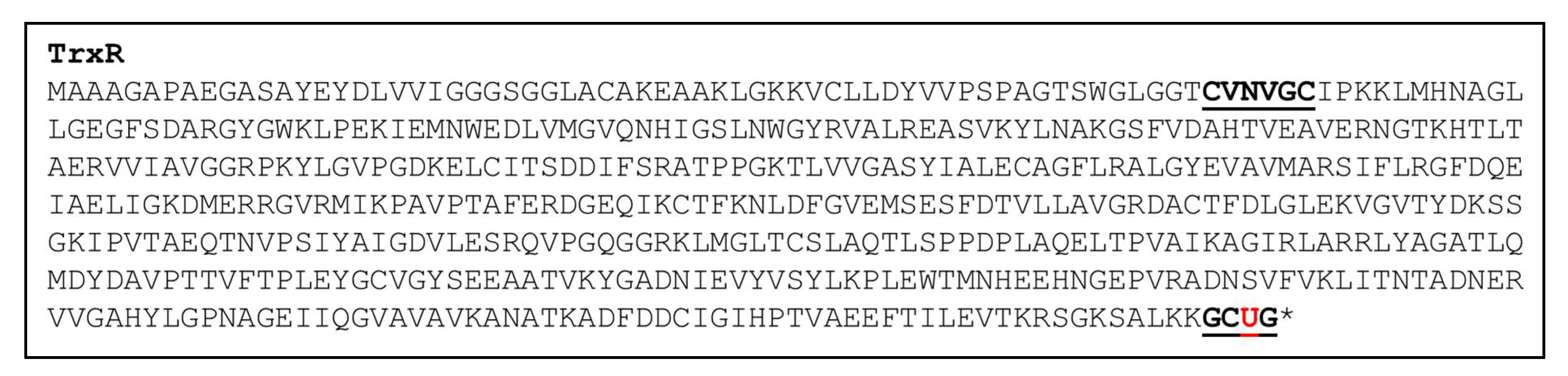 Antioxidants 11 01630 g002 Antioxidants 11 01630 g002