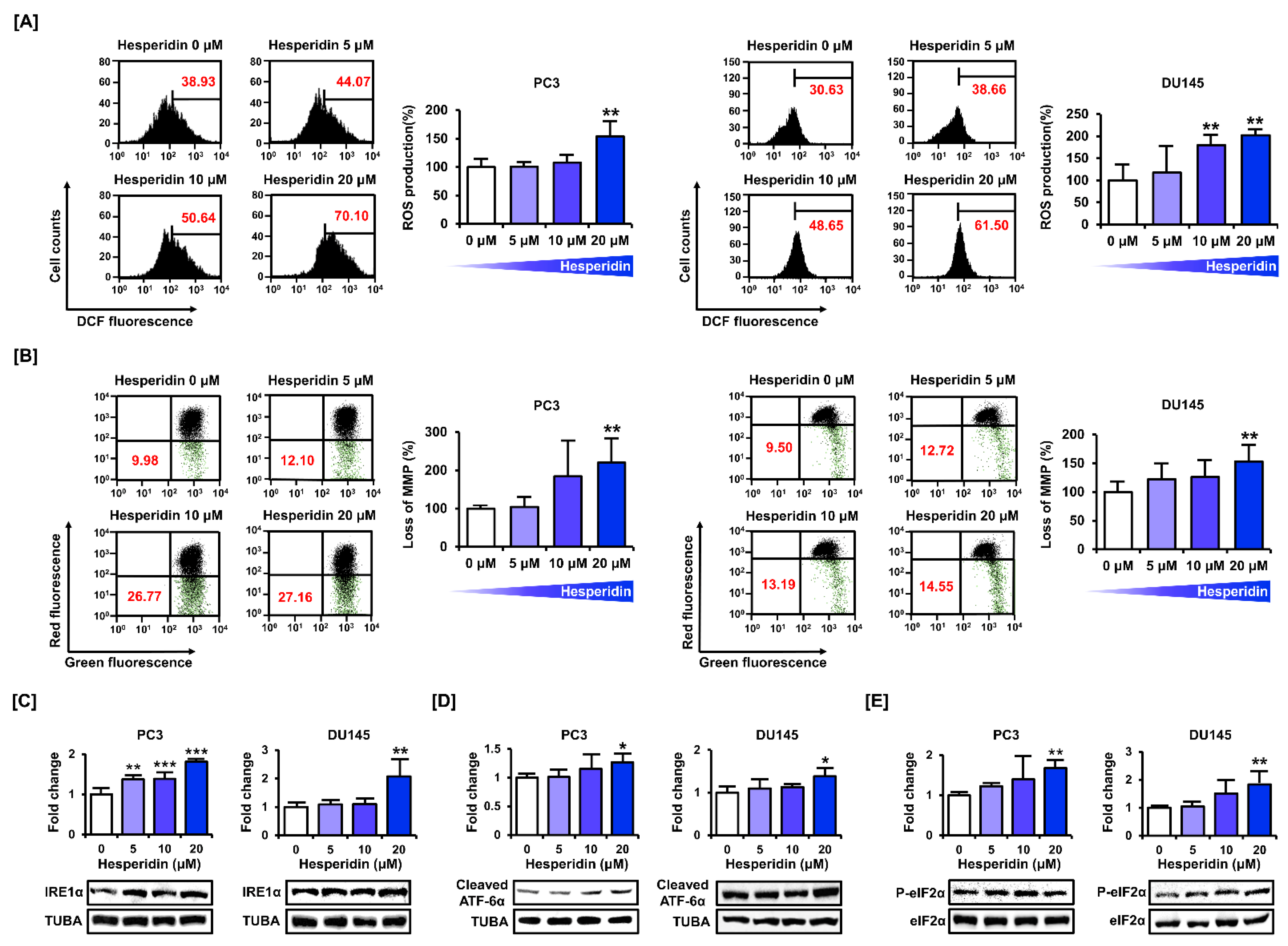 Antioxidants 11 01633 g003 Antioxidants 11 01633 g003