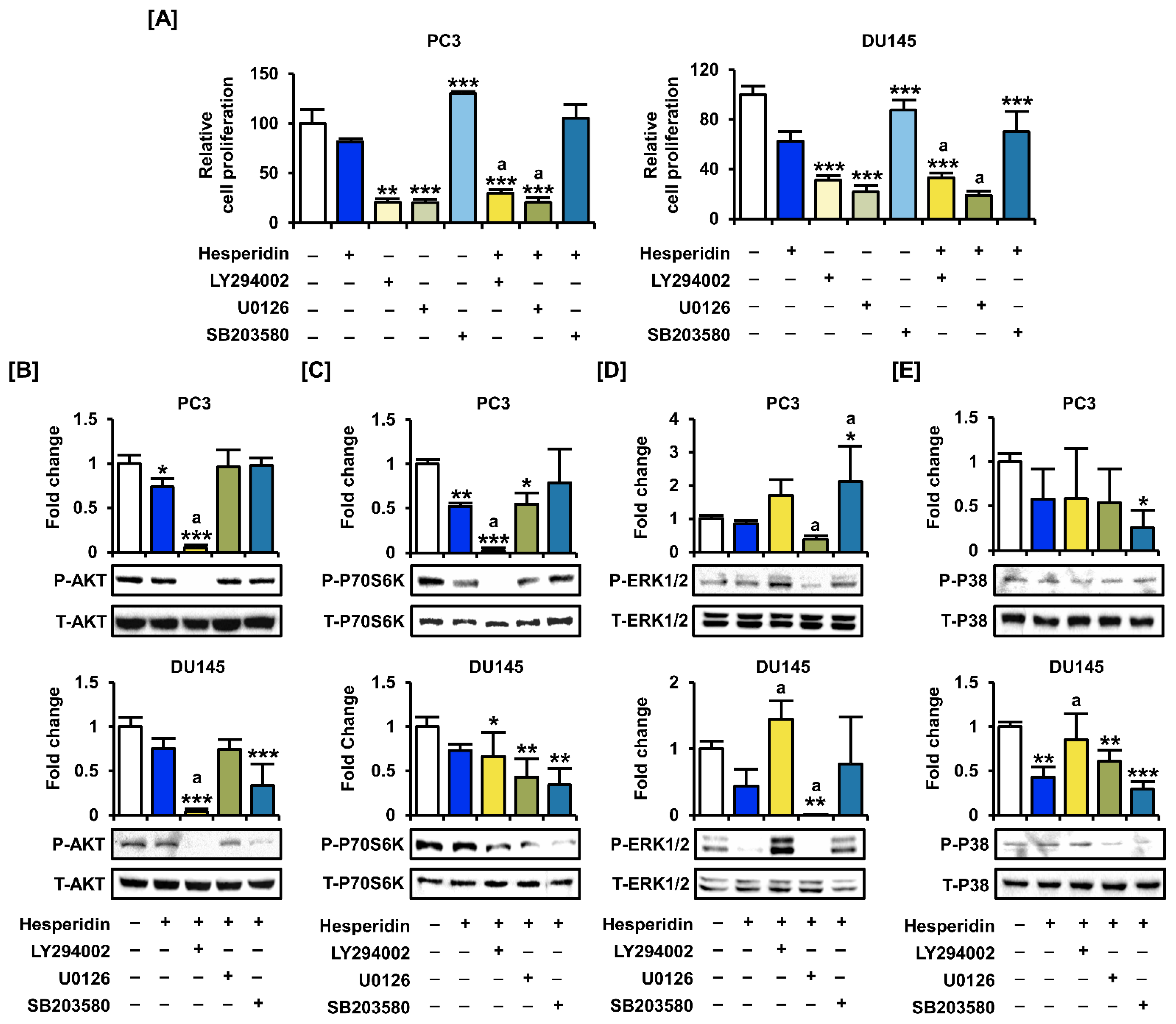 Antioxidants 11 01633 g007 Antioxidants 11 01633 g007