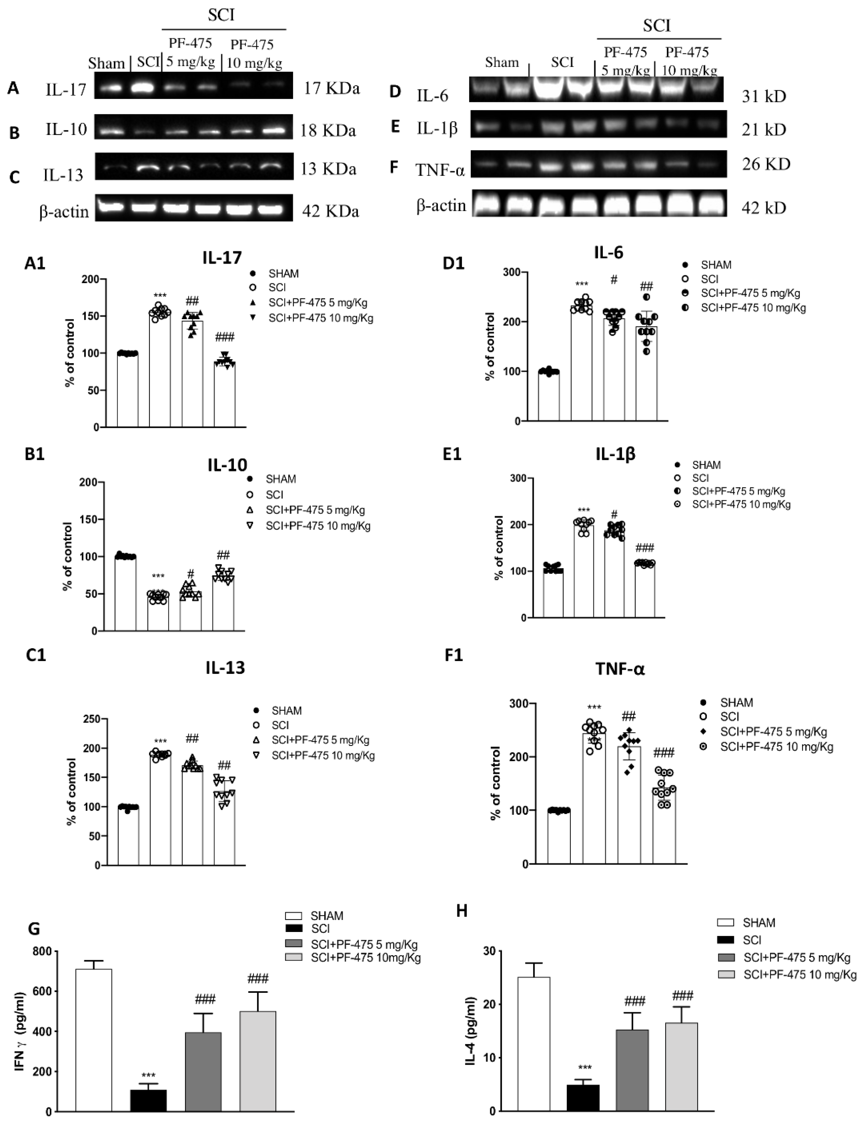Antioxidants 11 01634 g005