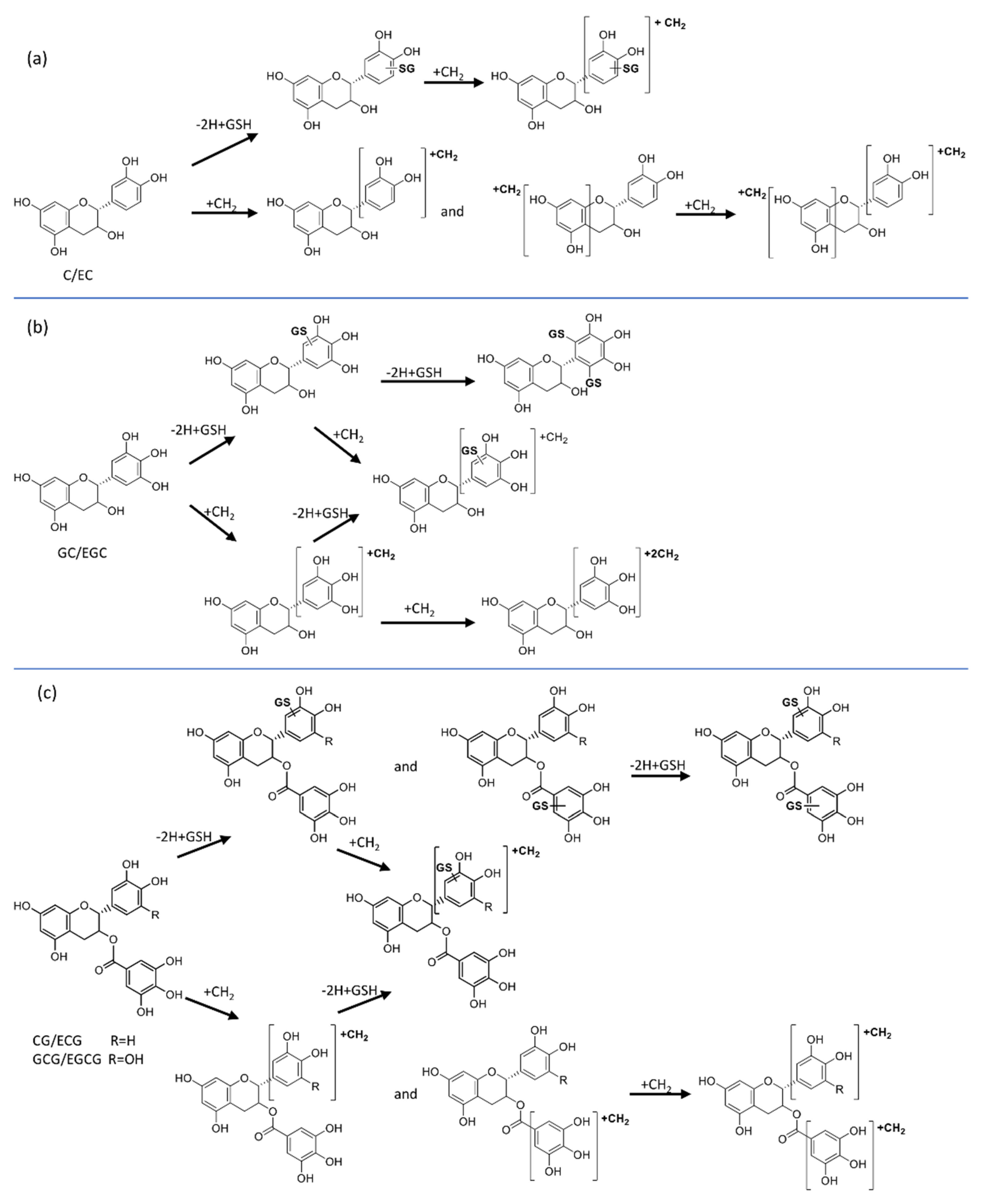 Antioxidants 11 01635 g007 550