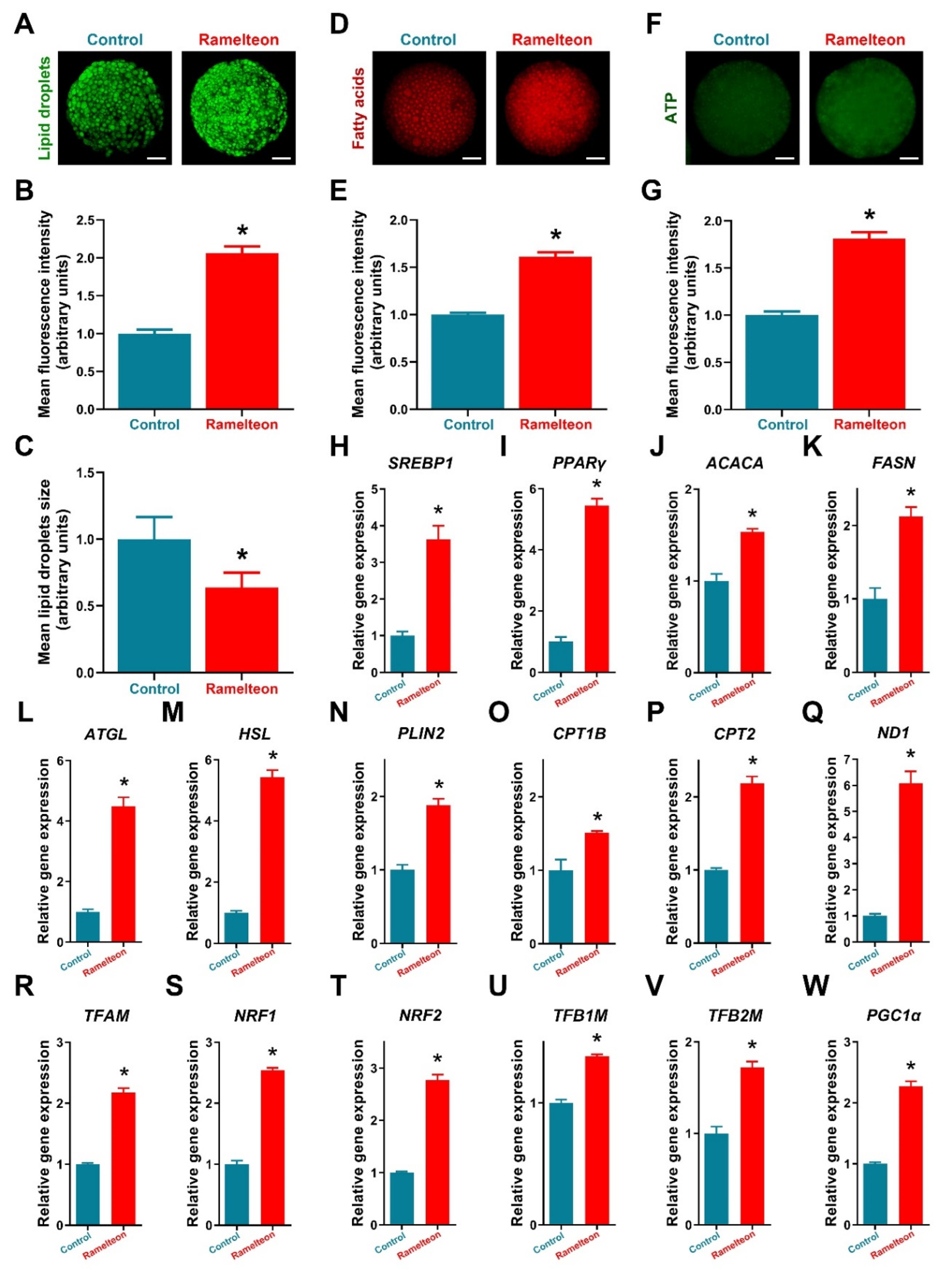Antioxidants 11 01640 g004