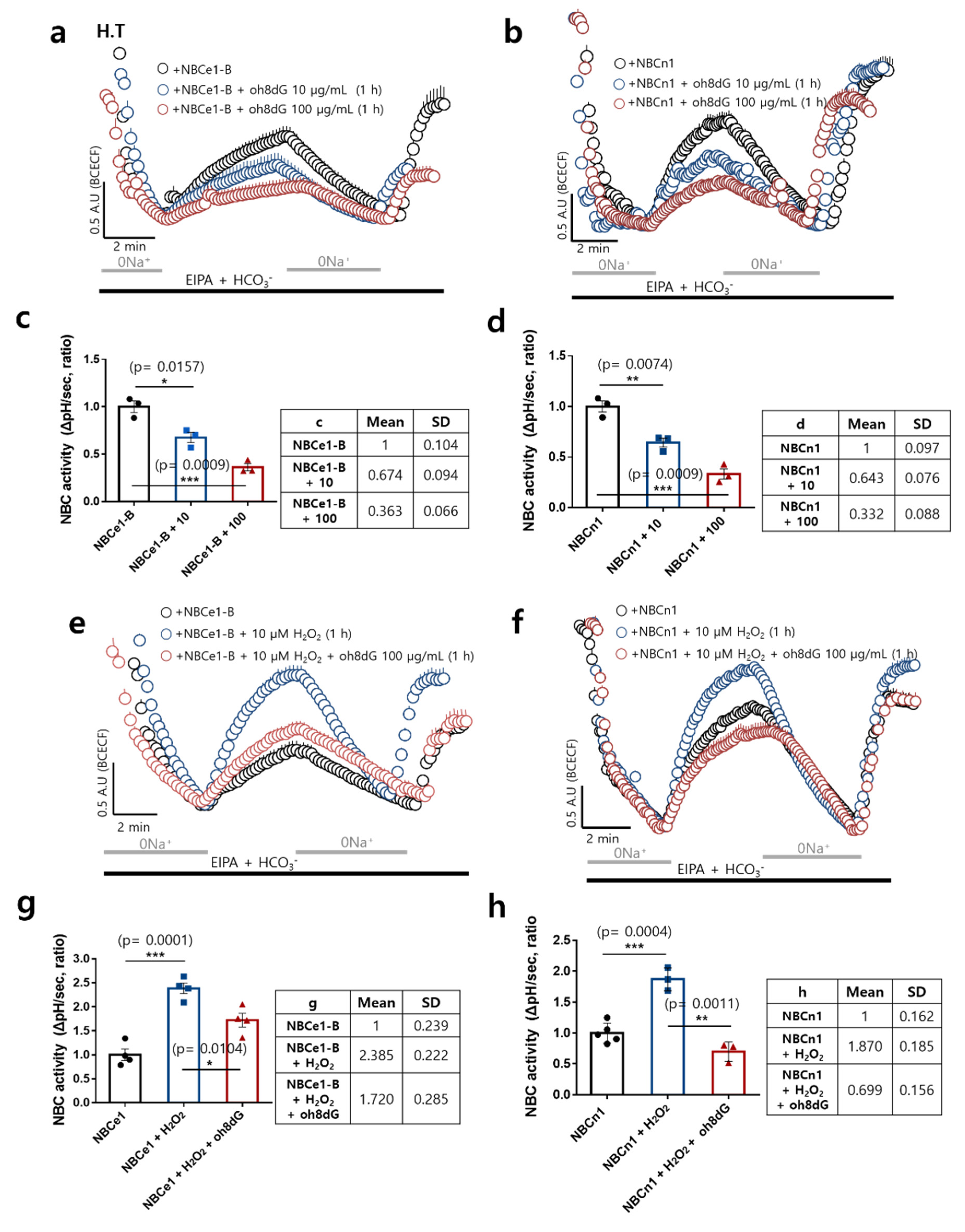 Antioxidants 11 01641 g002