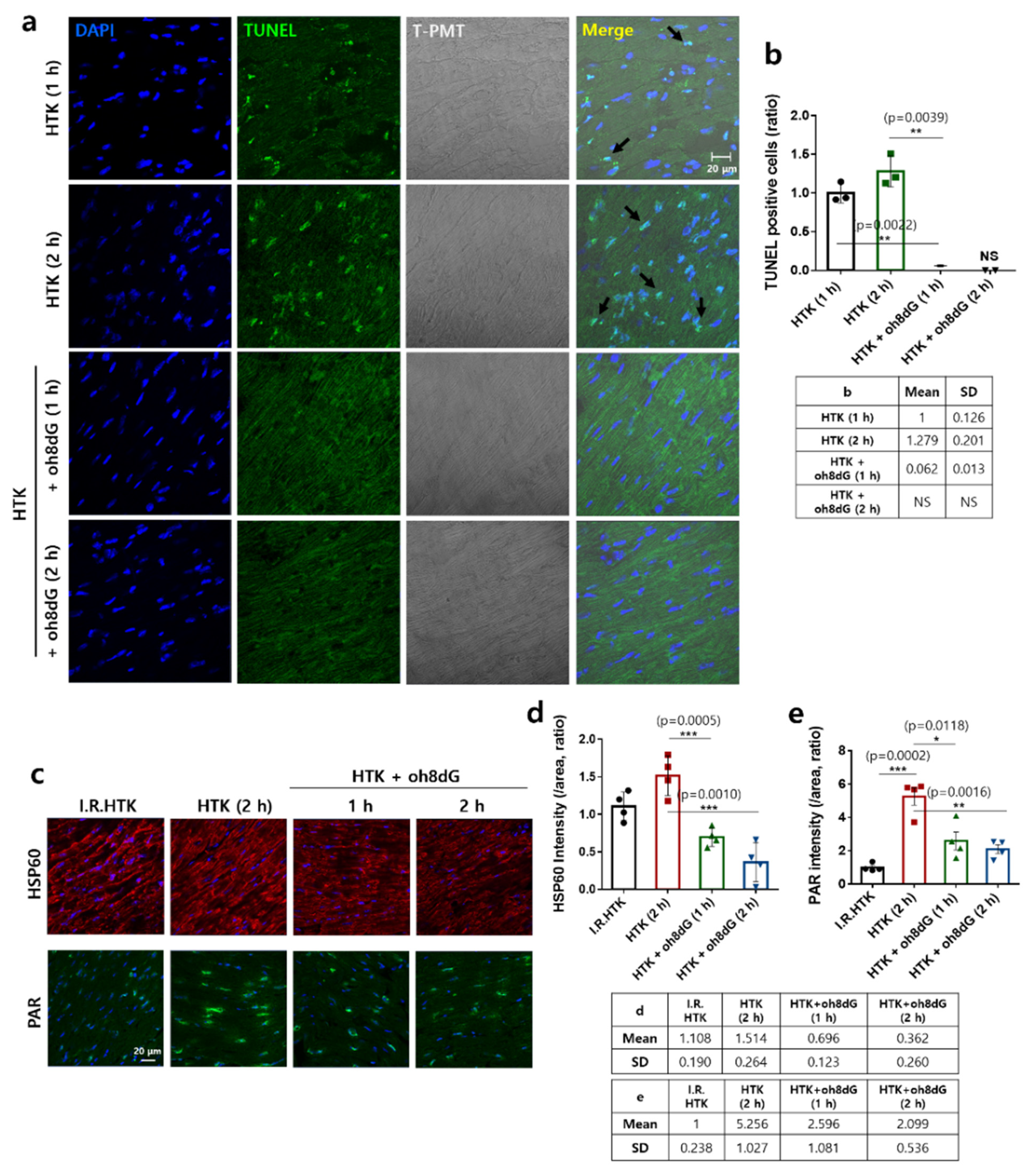 Antioxidants 11 01641 g005
