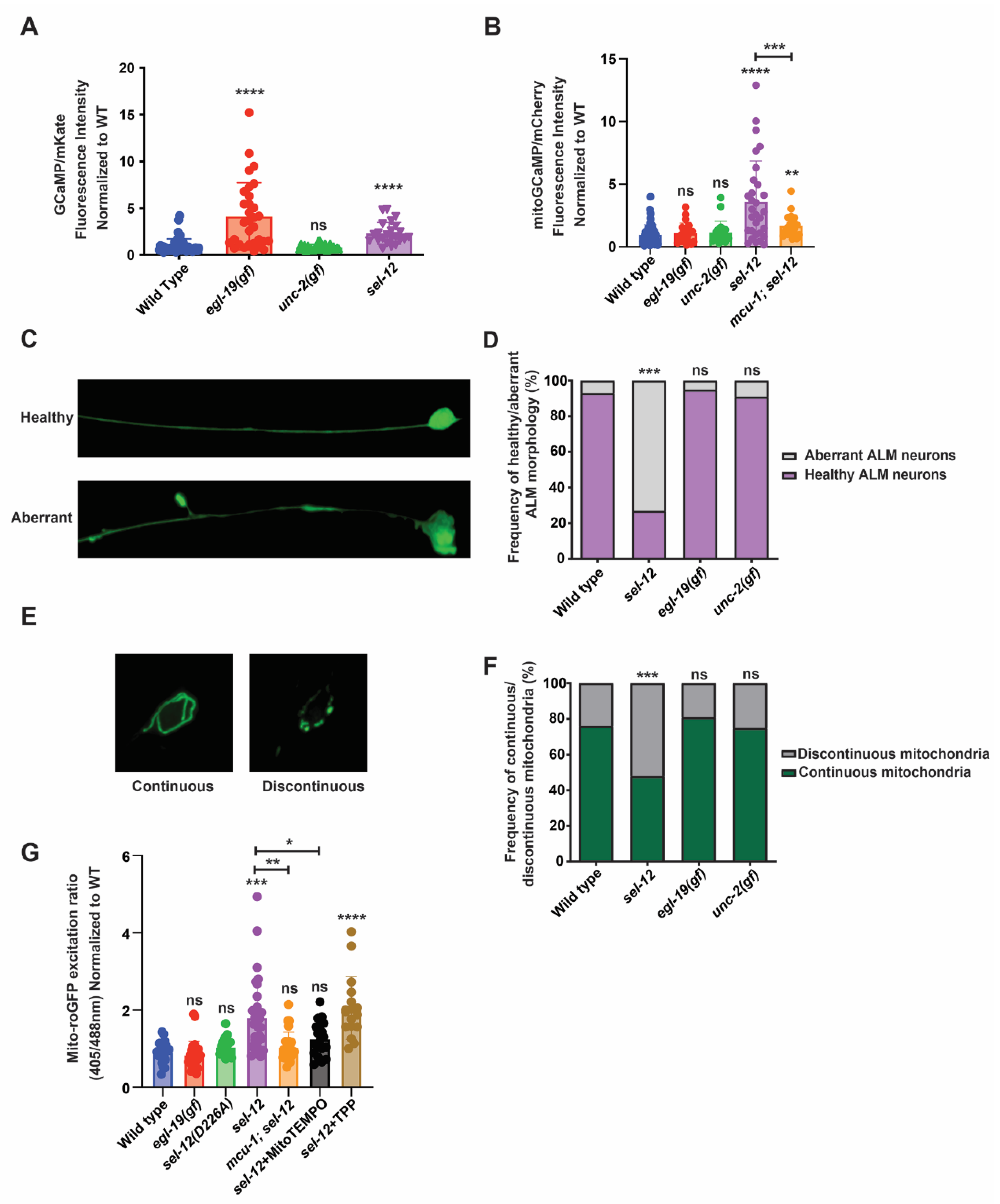 Antioxidants 11 01642 g001 550