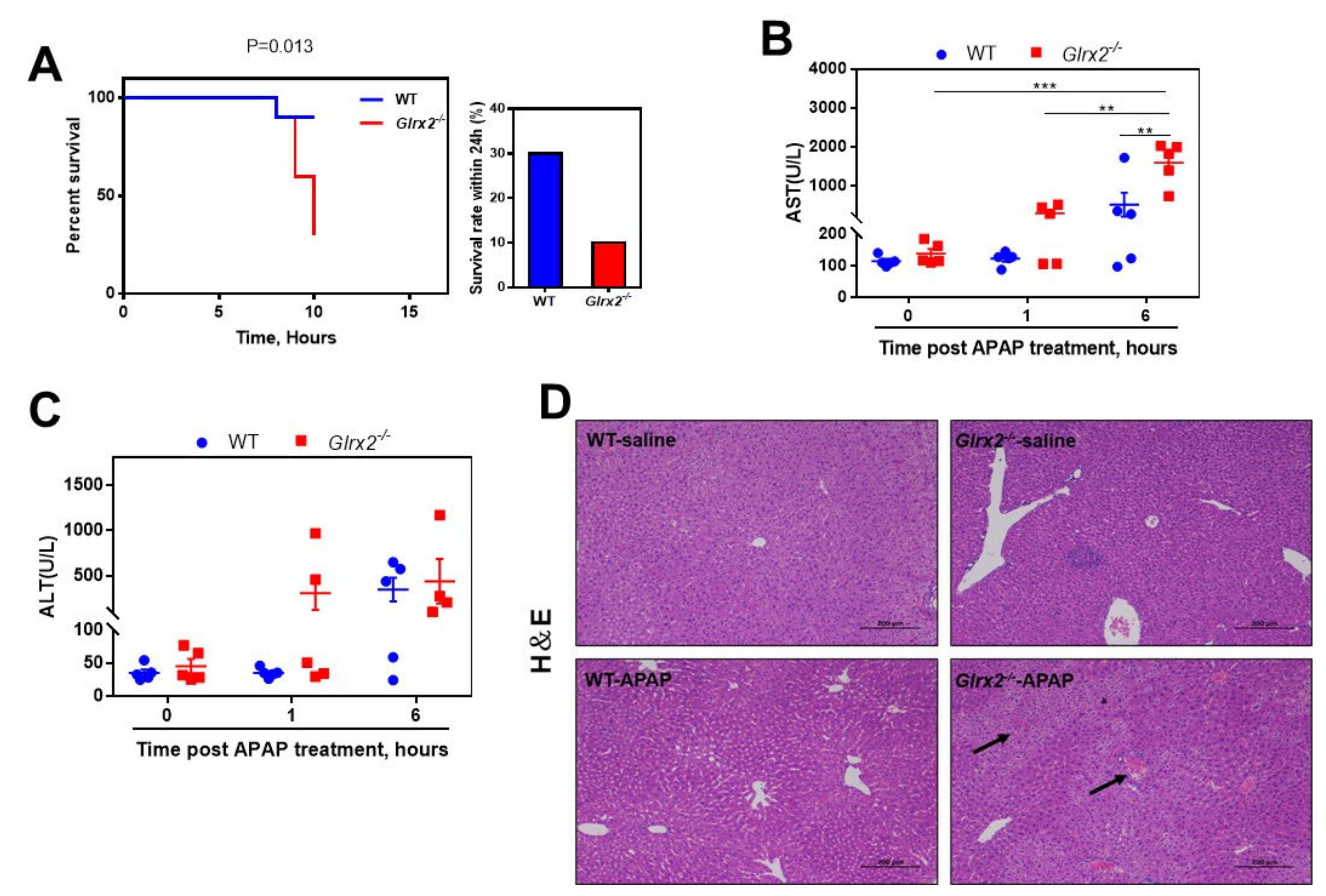 Antioxidants 11 01643 g001 550