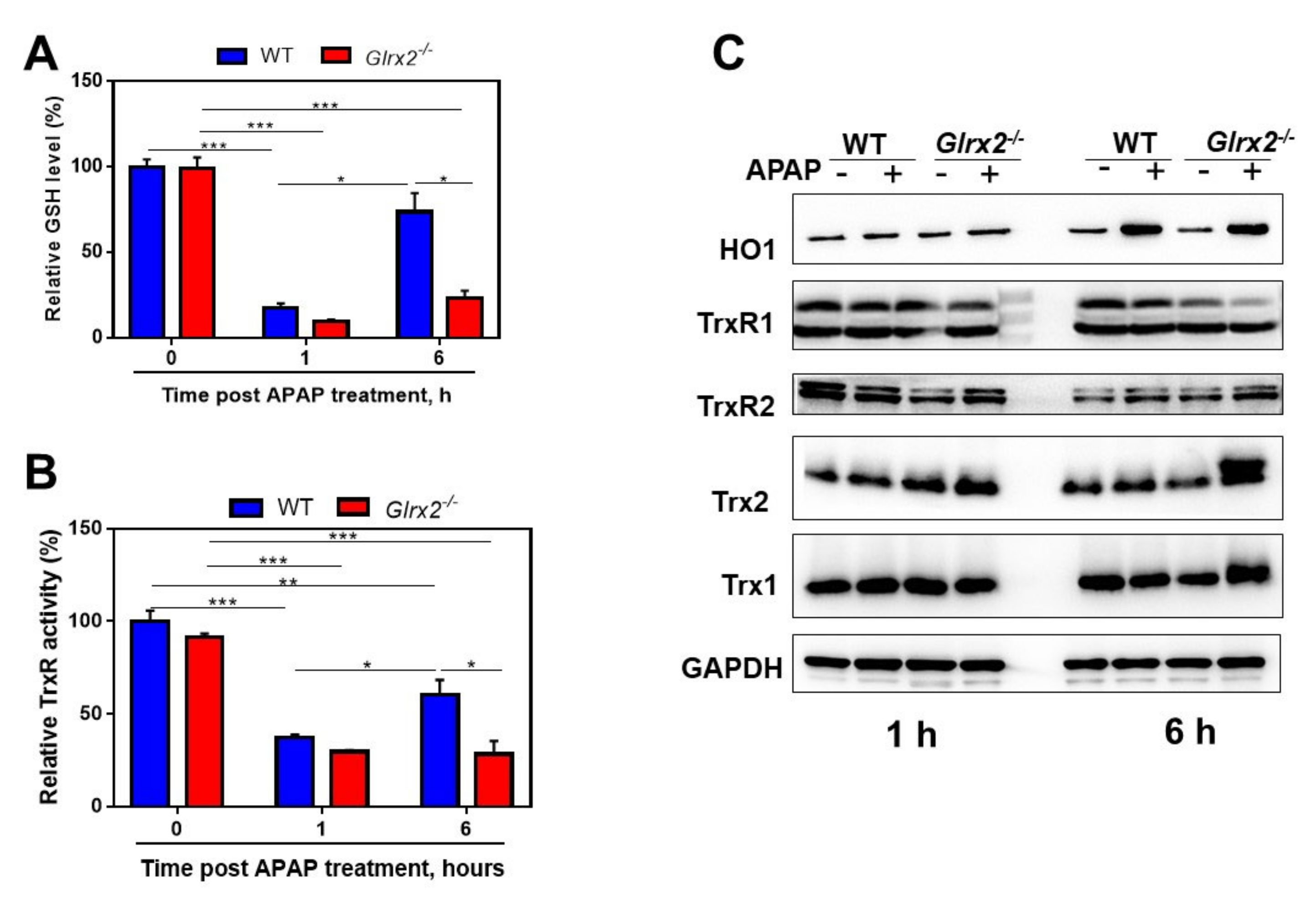 Antioxidants 11 01643 g002 550
