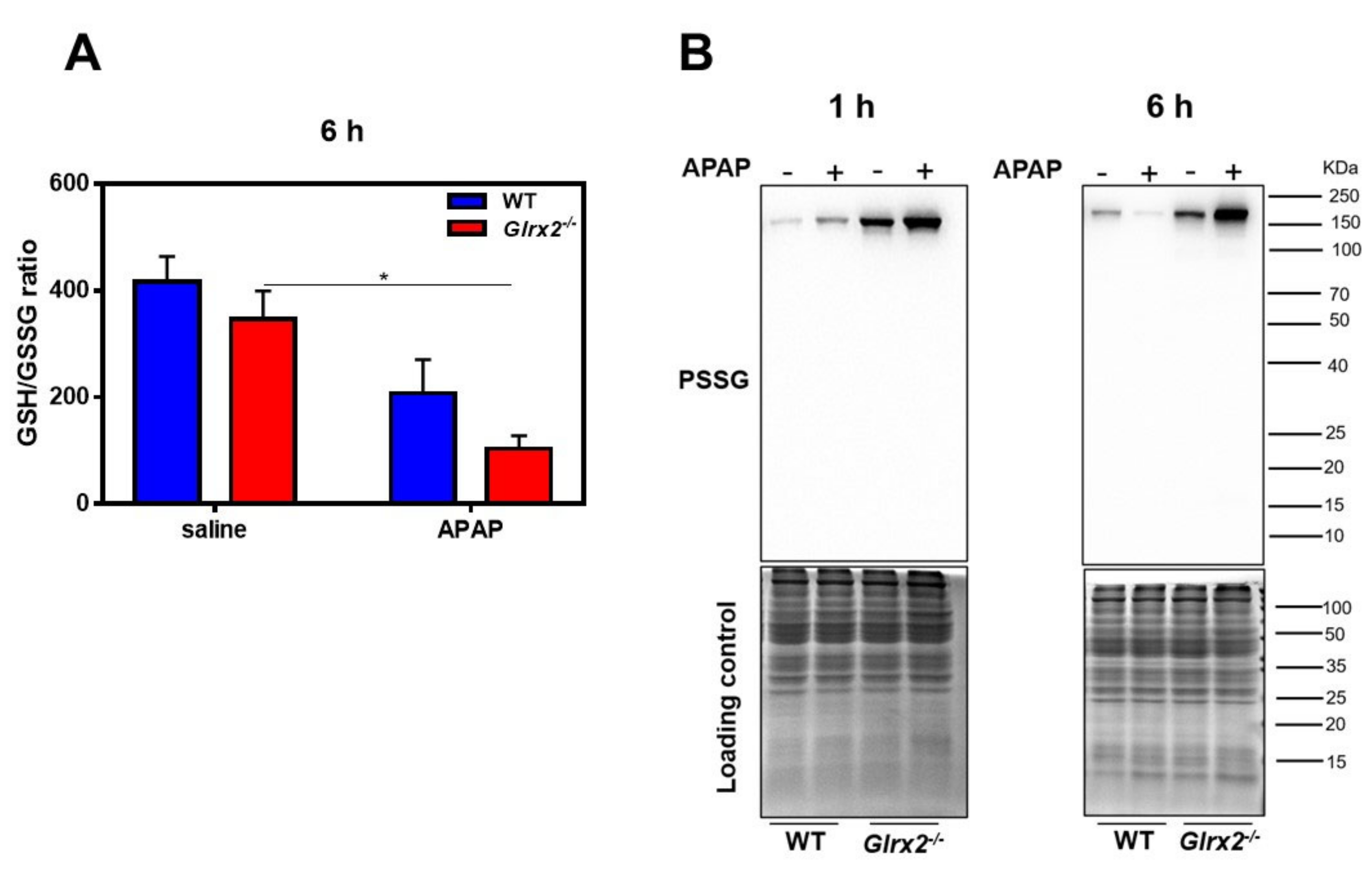 Antioxidants 11 01643 g003 550