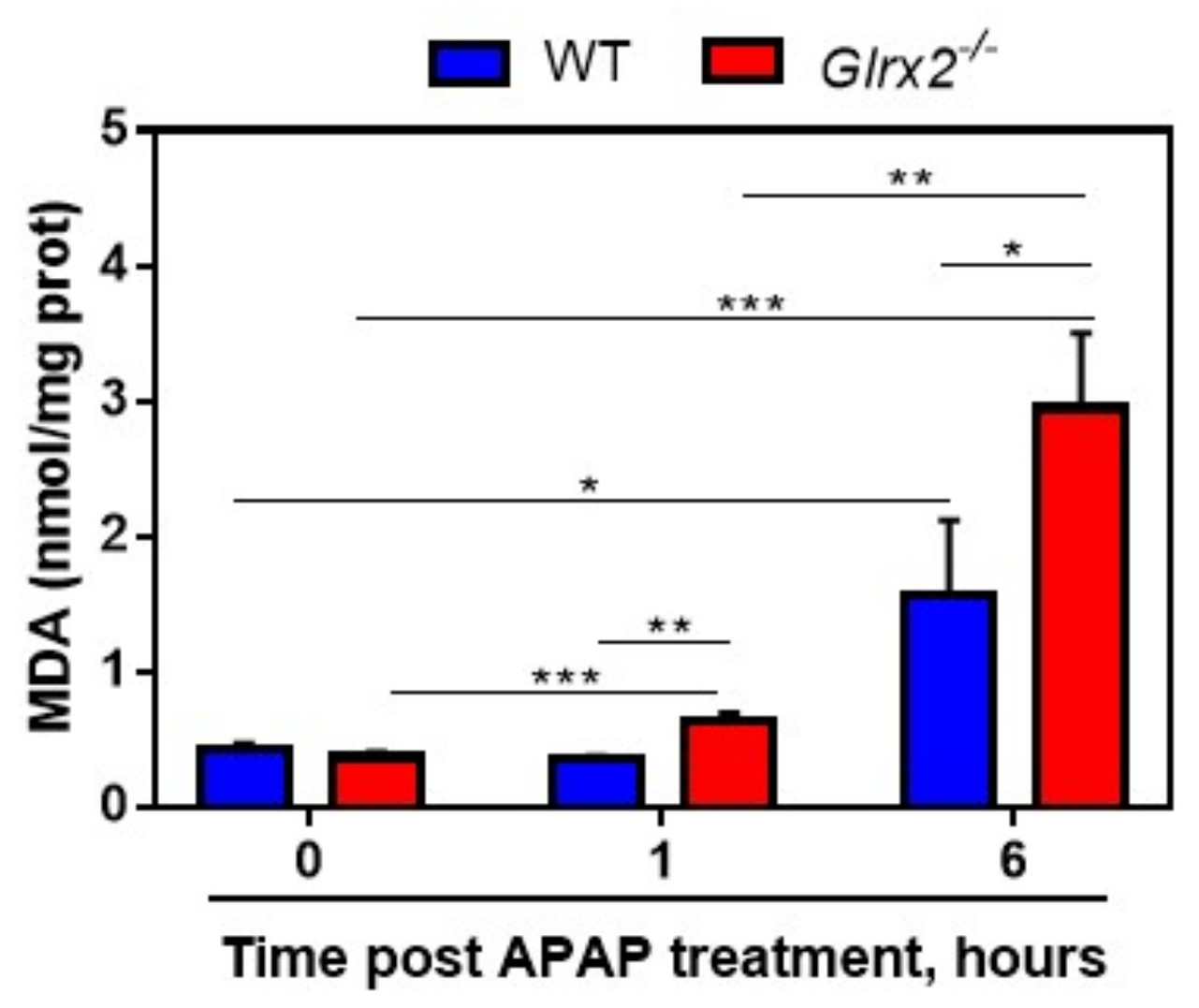 Antioxidants 11 01643 g006 550