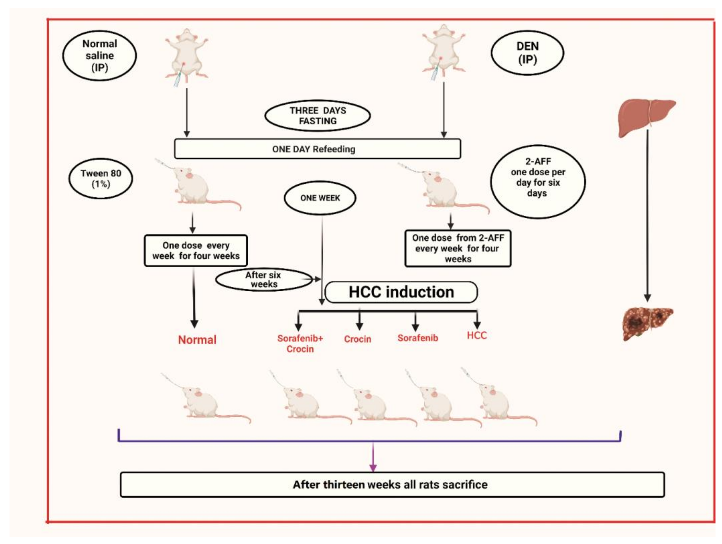 Antioxidants 11 01645 g001