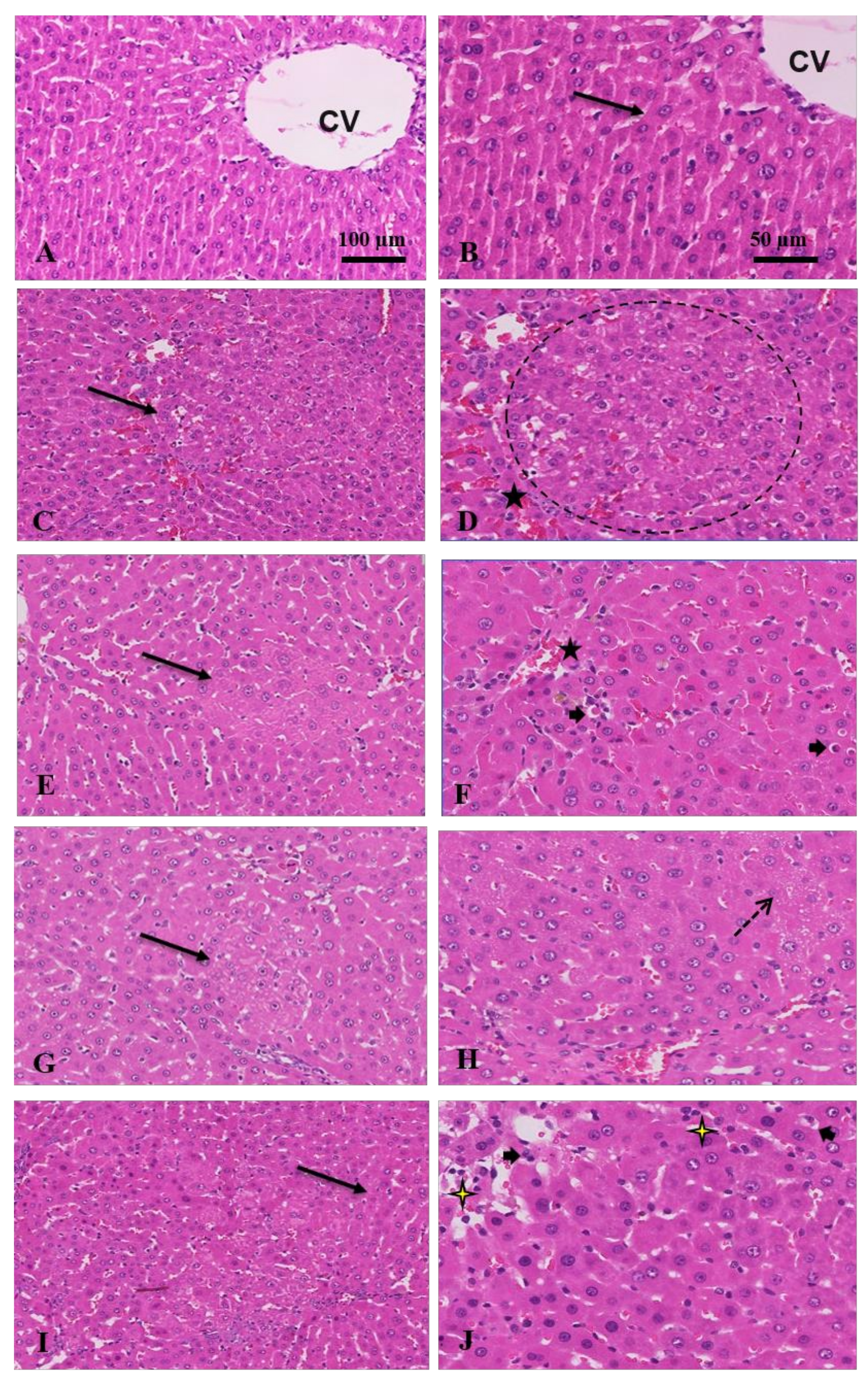 Antioxidants 11 01645 g002
