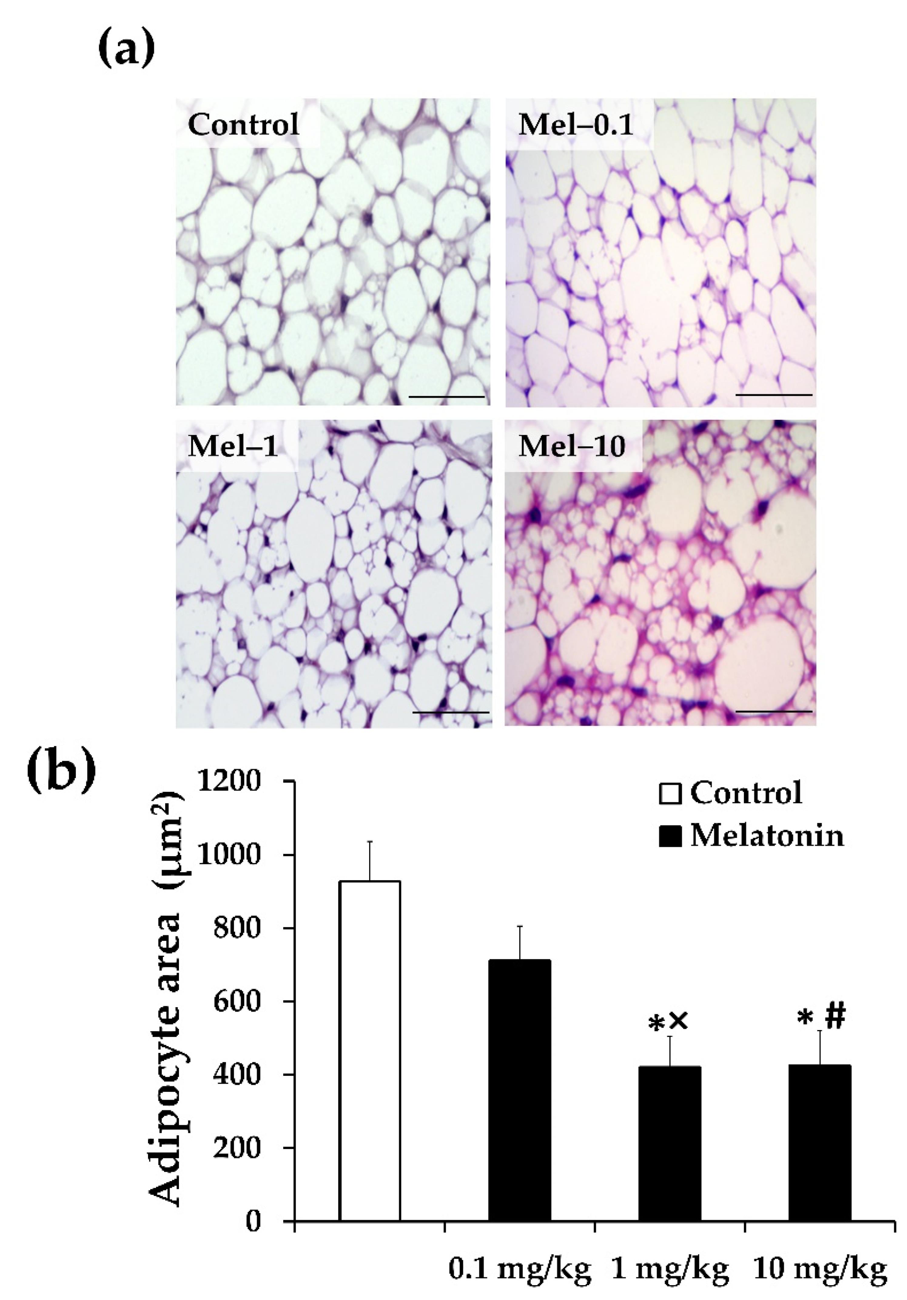 Antioxidants 11 01646 g002a 550