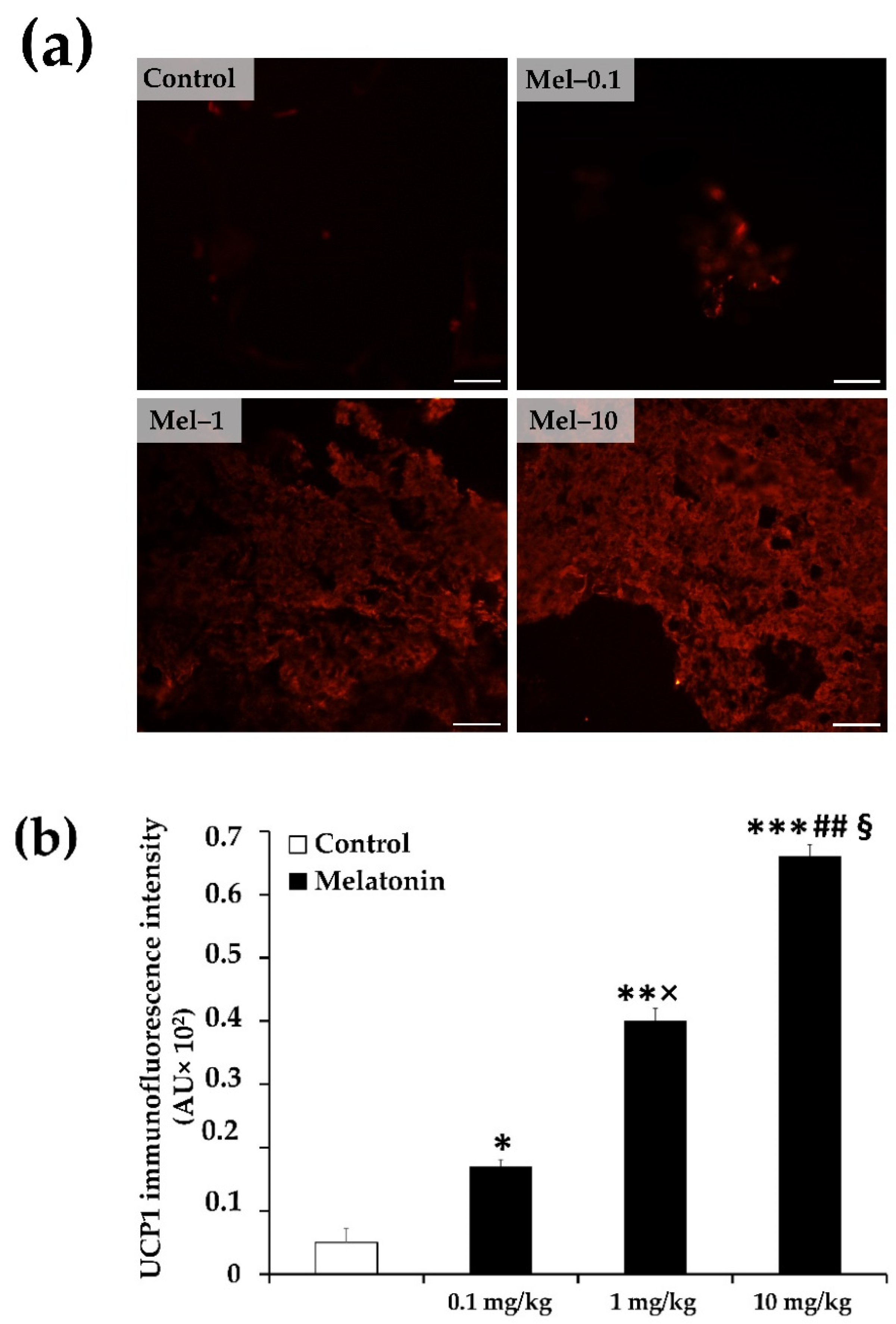Antioxidants 11 01646 g003a 550